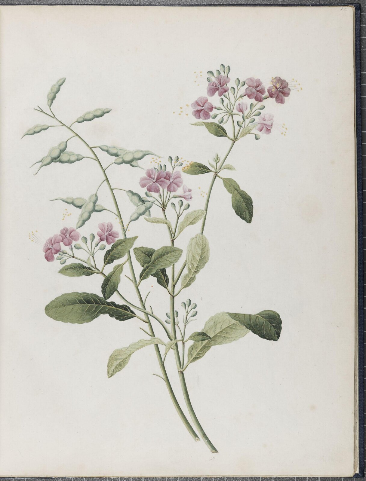 Painting, 19th century