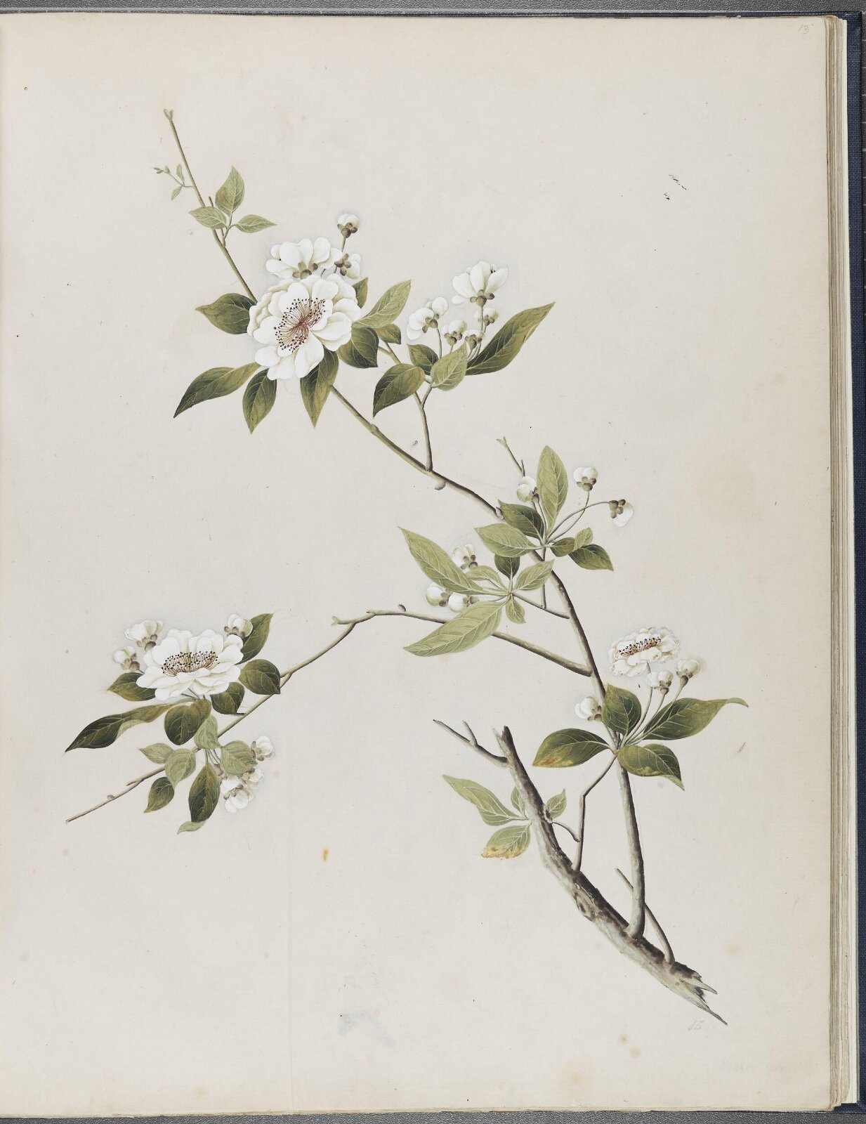 Painting, 19th century