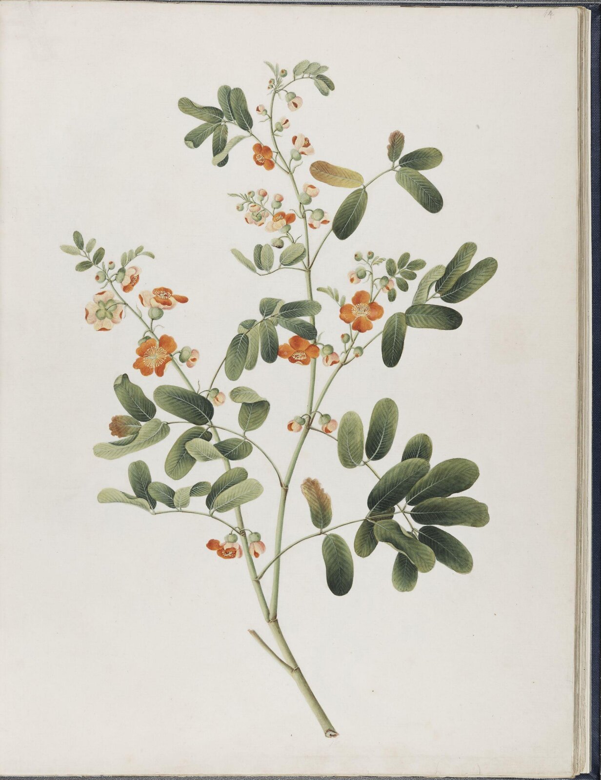 Painting, 19th century