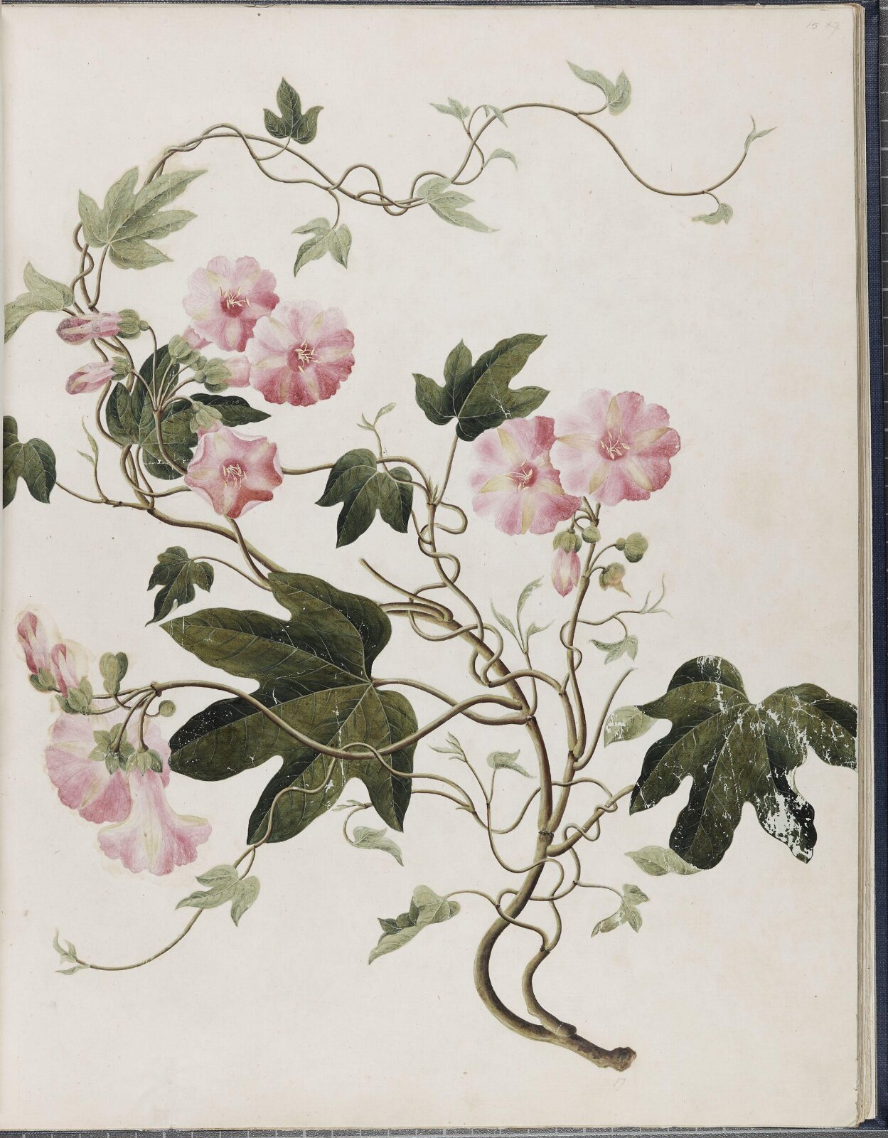 Painting, 19th century