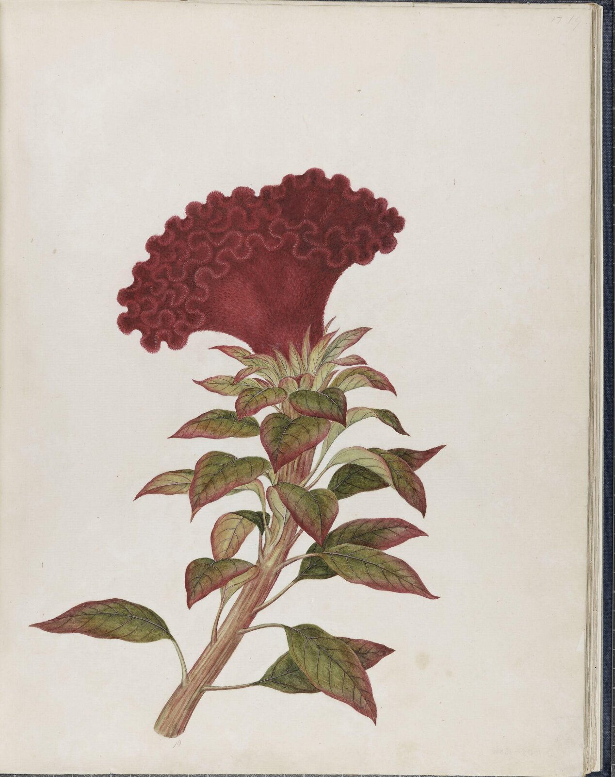 Painting, 19th century