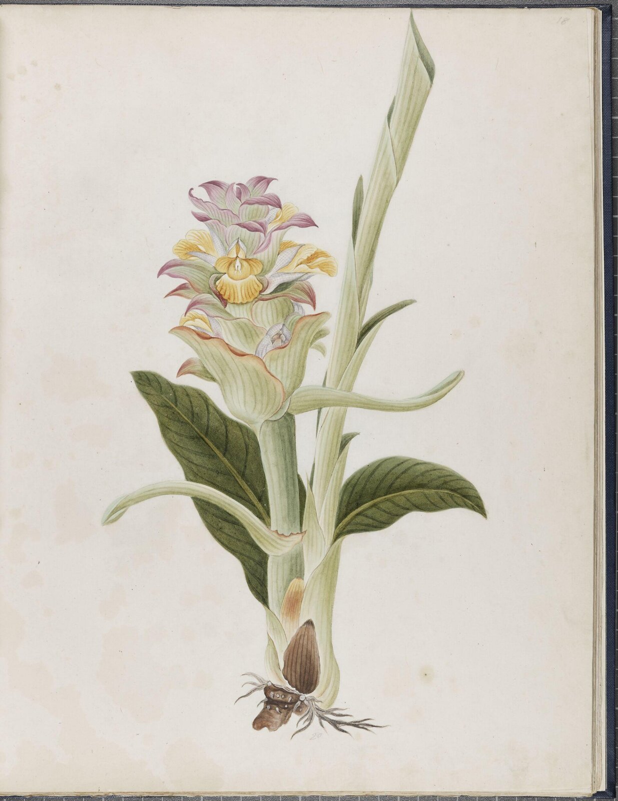 Painting, 19th century