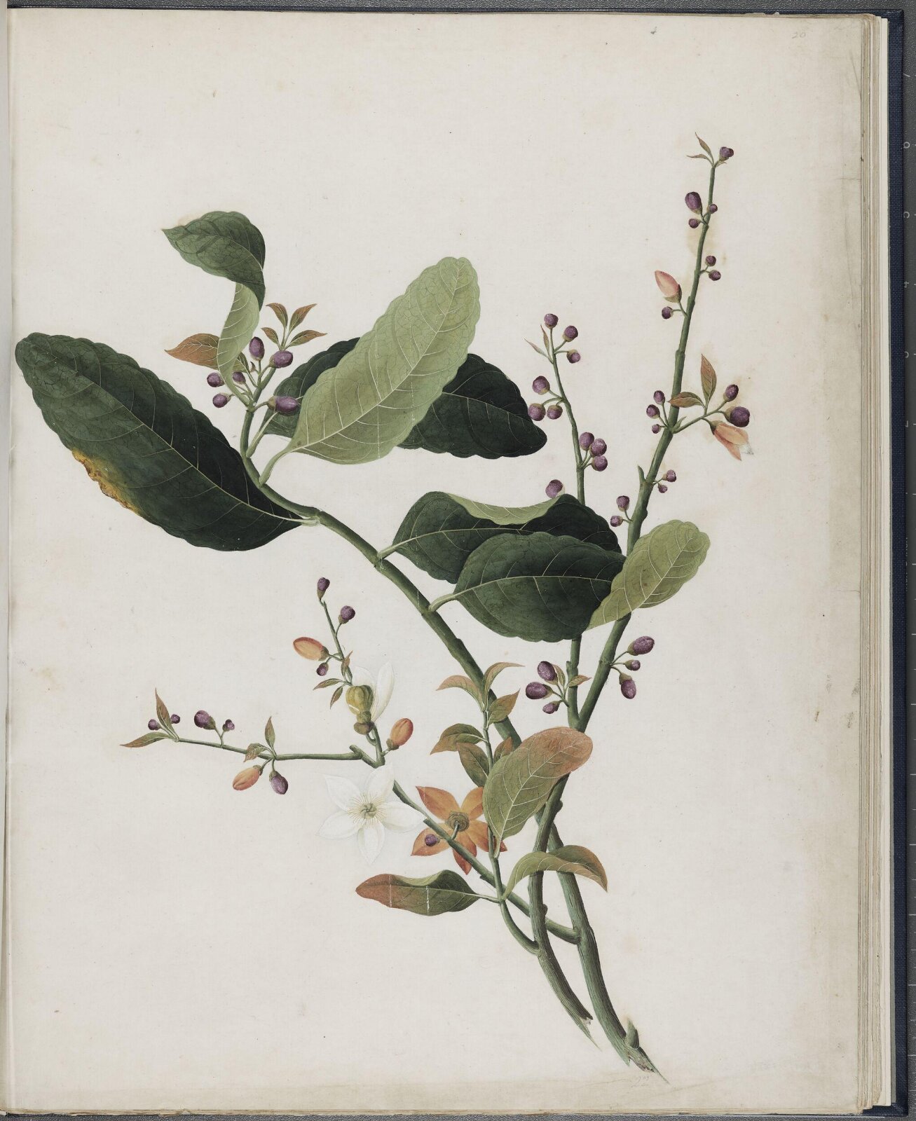 Painting, 19th century