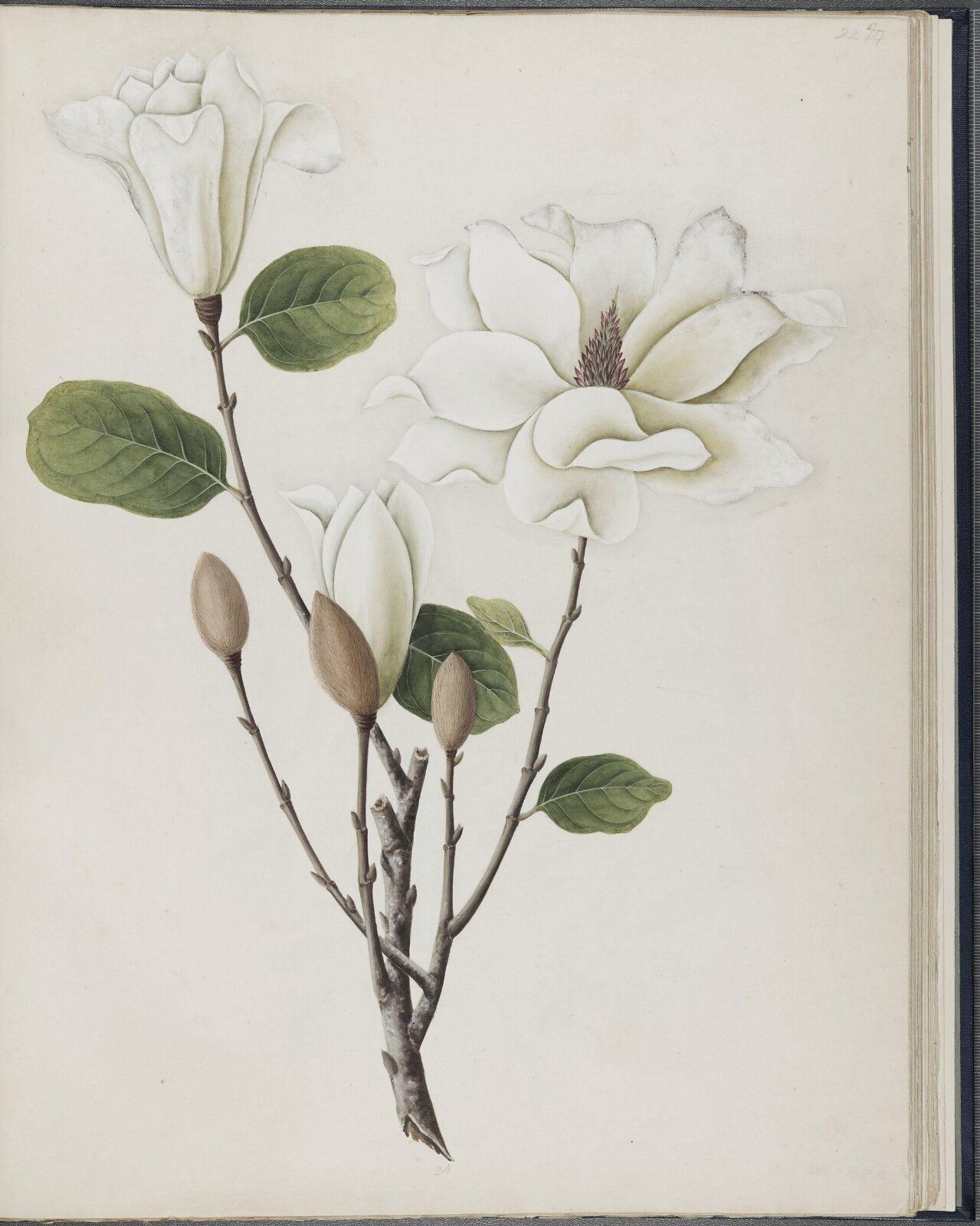 Painting, 19th century