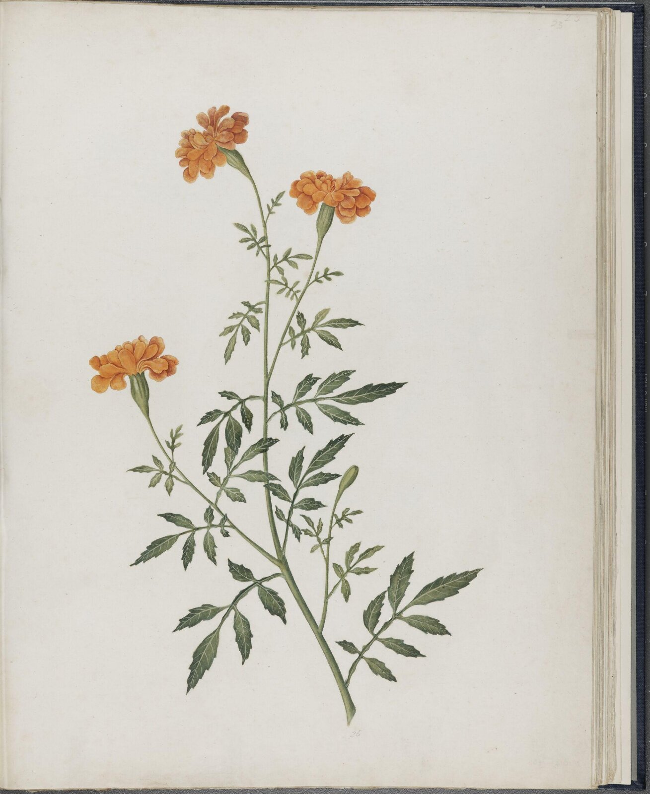 Painting, 19th century