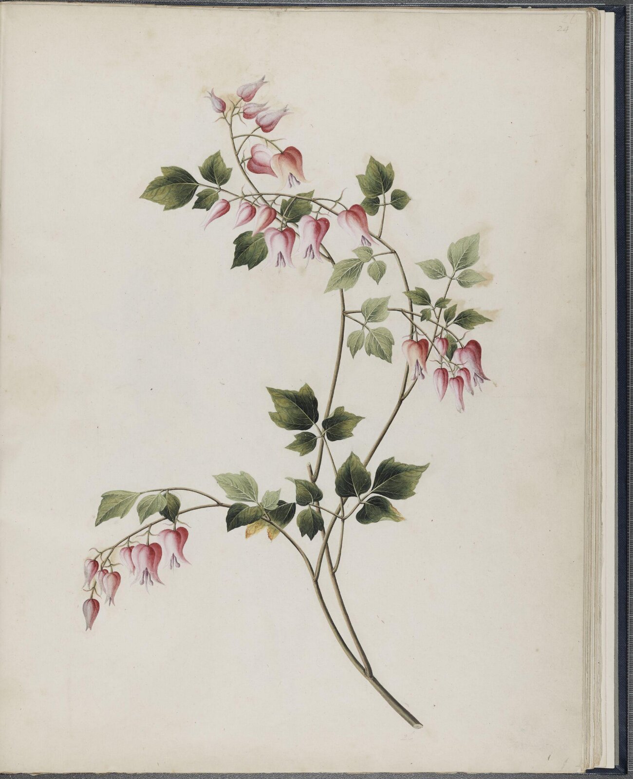 Painting, 19th century