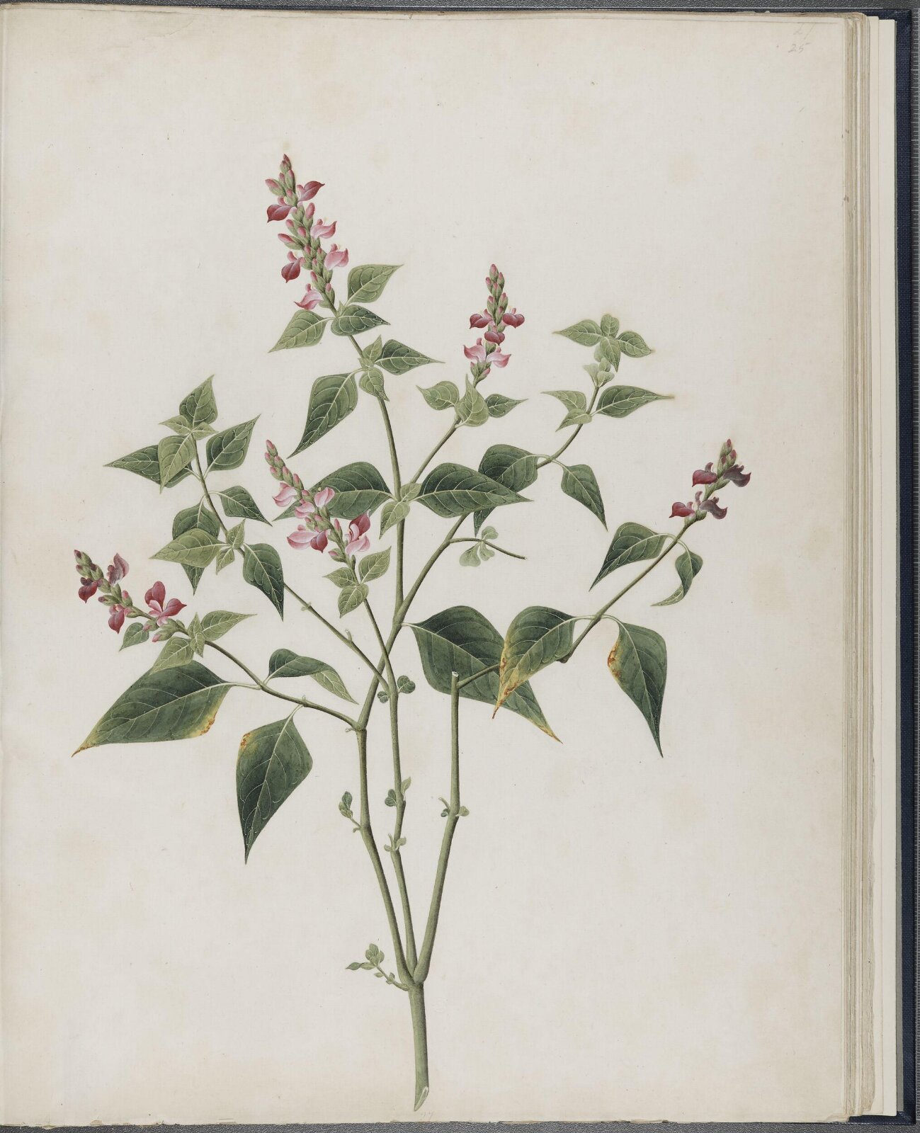 Painting, 19th century