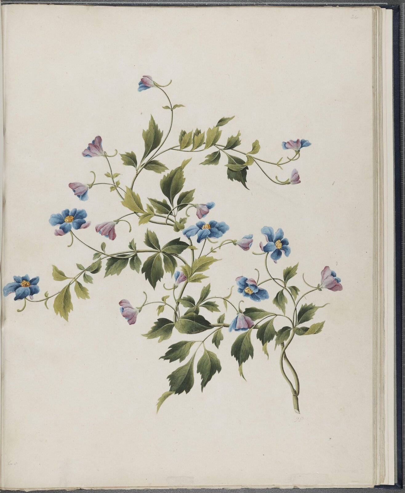 Painting, 19th century