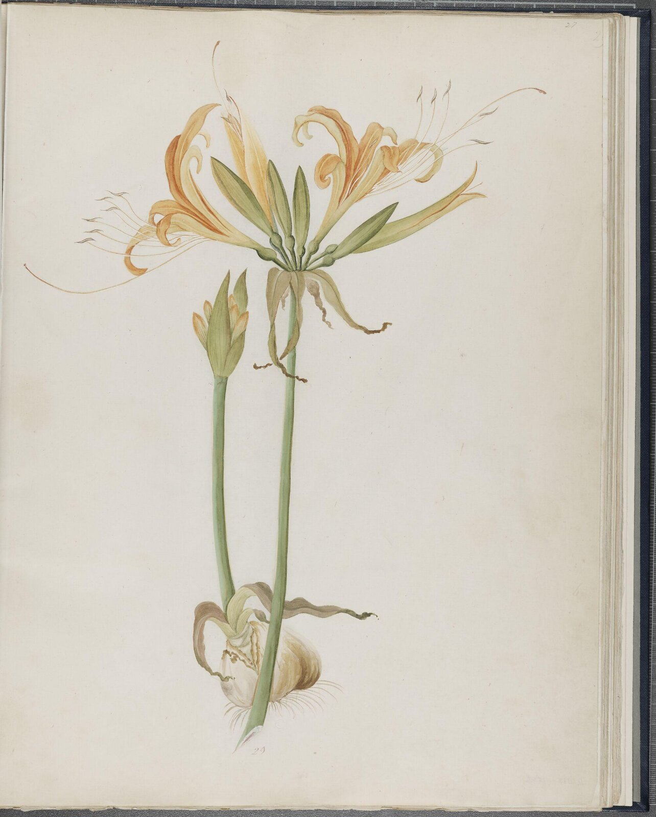 Painting, 19th century