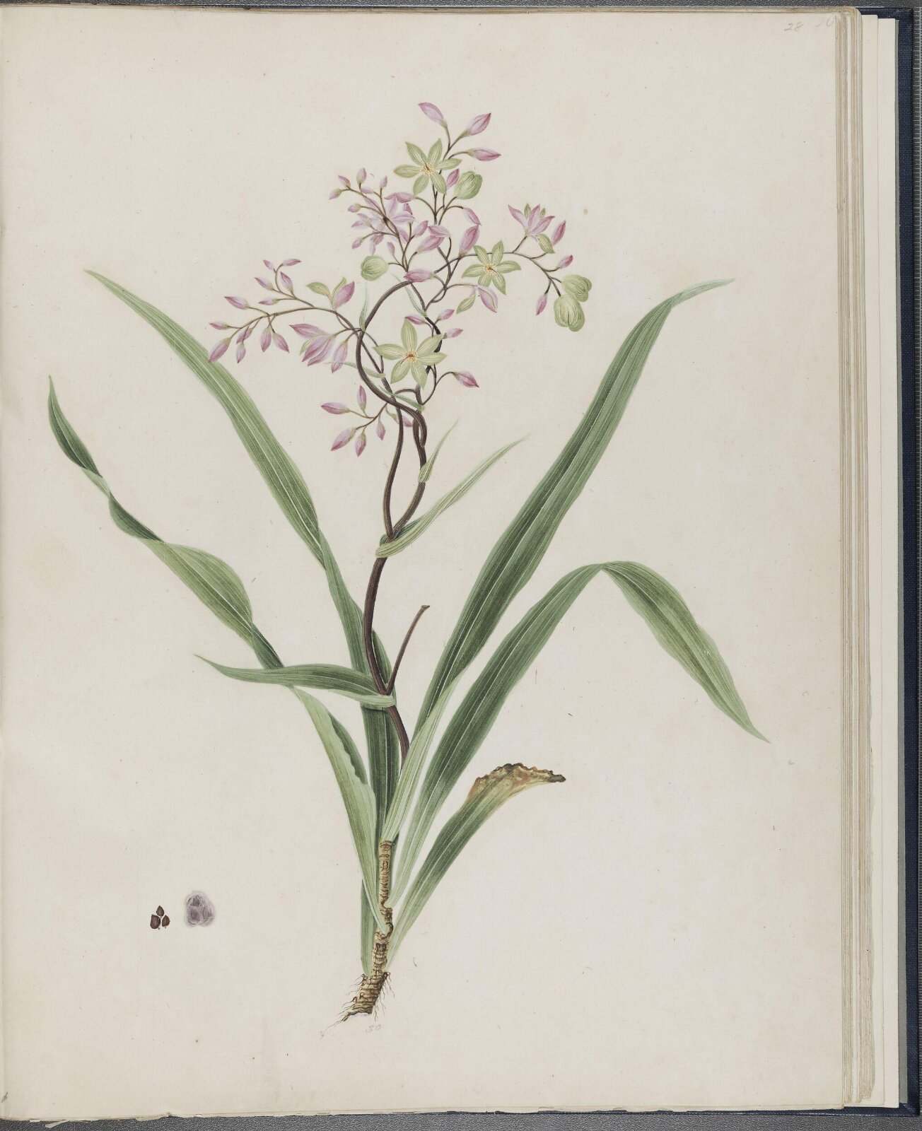 Painting, 19th century