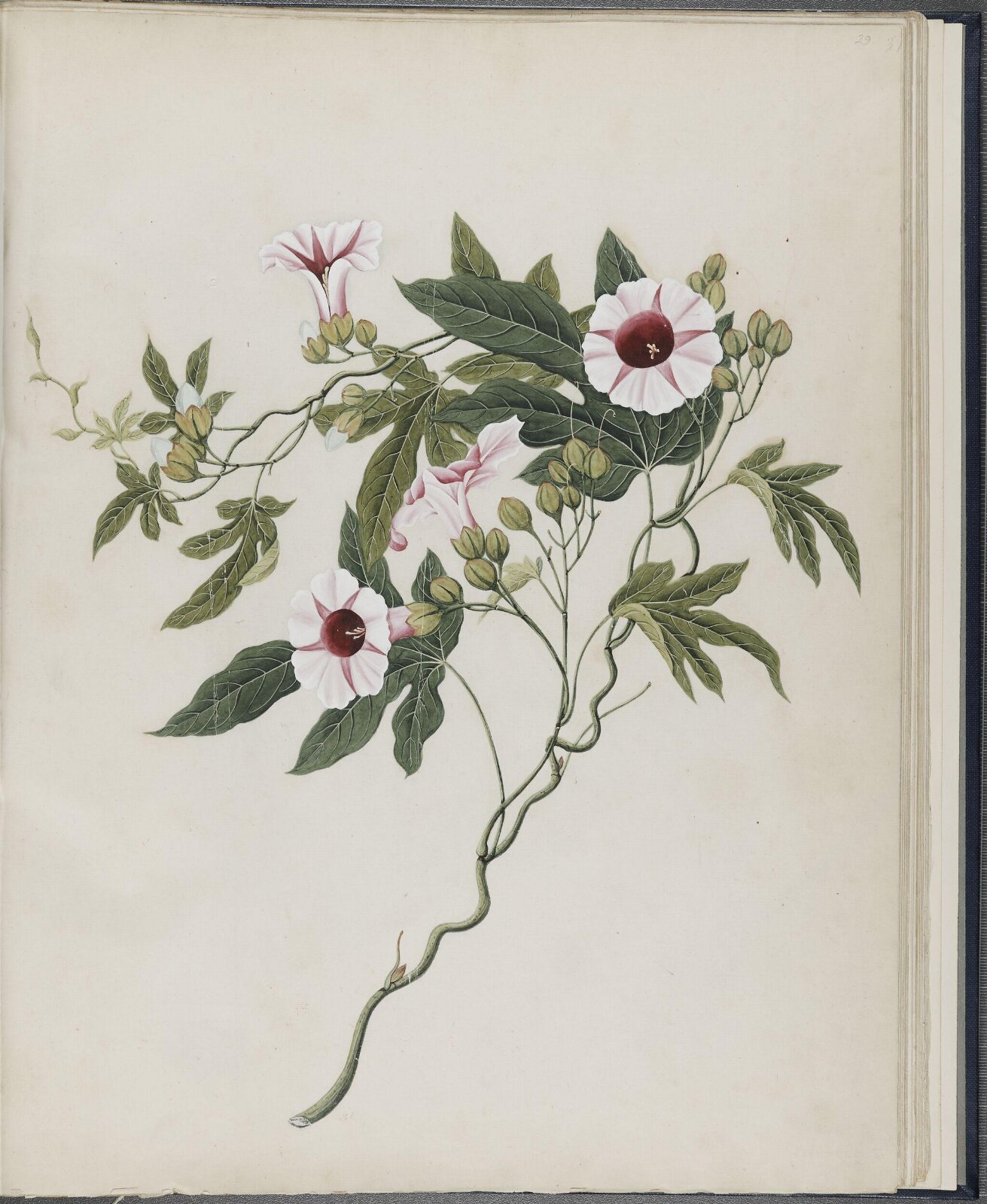 Painting, 19th century