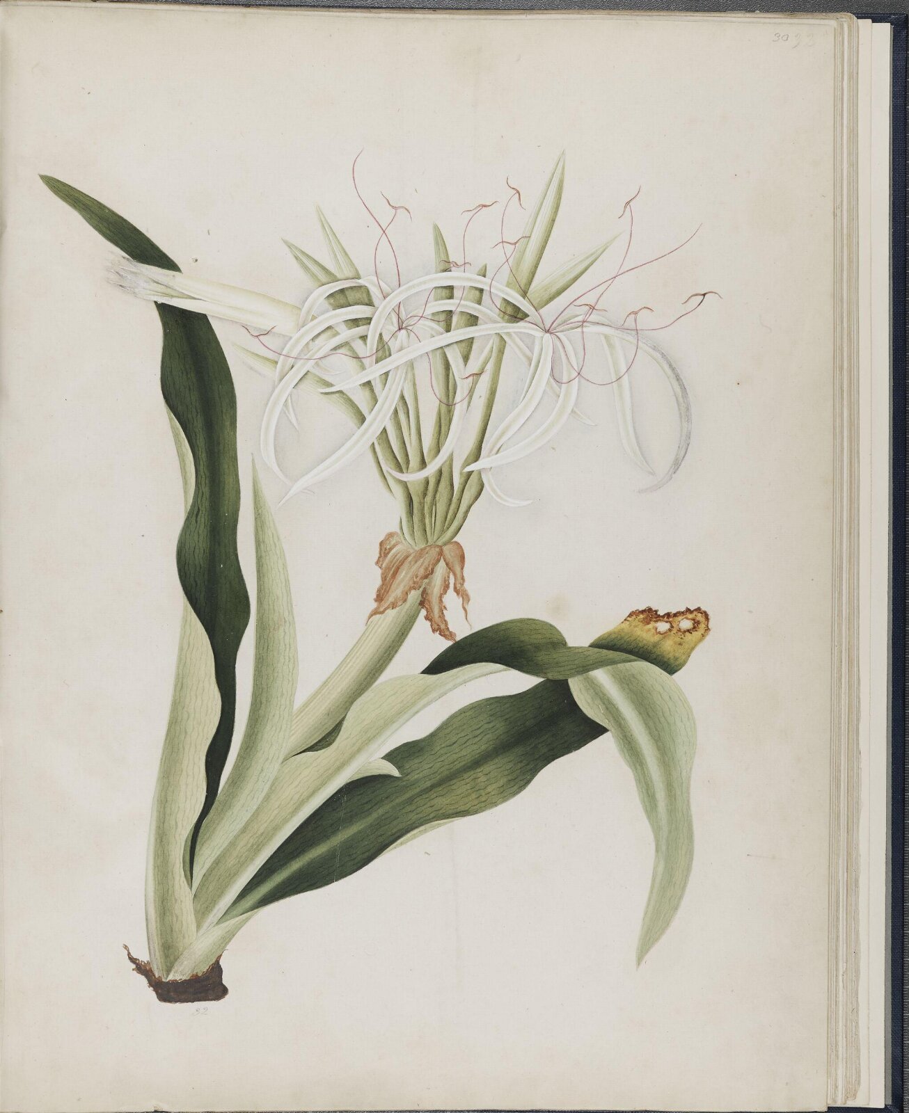 Painting, 19th century