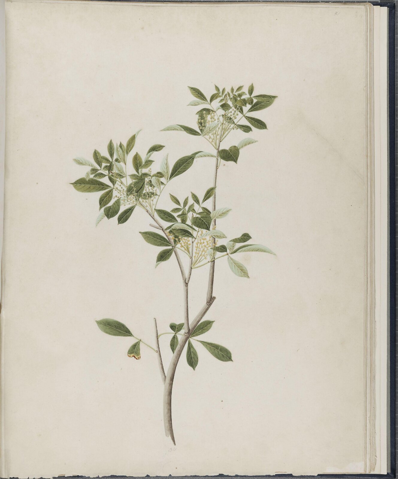 Painting, 19th century