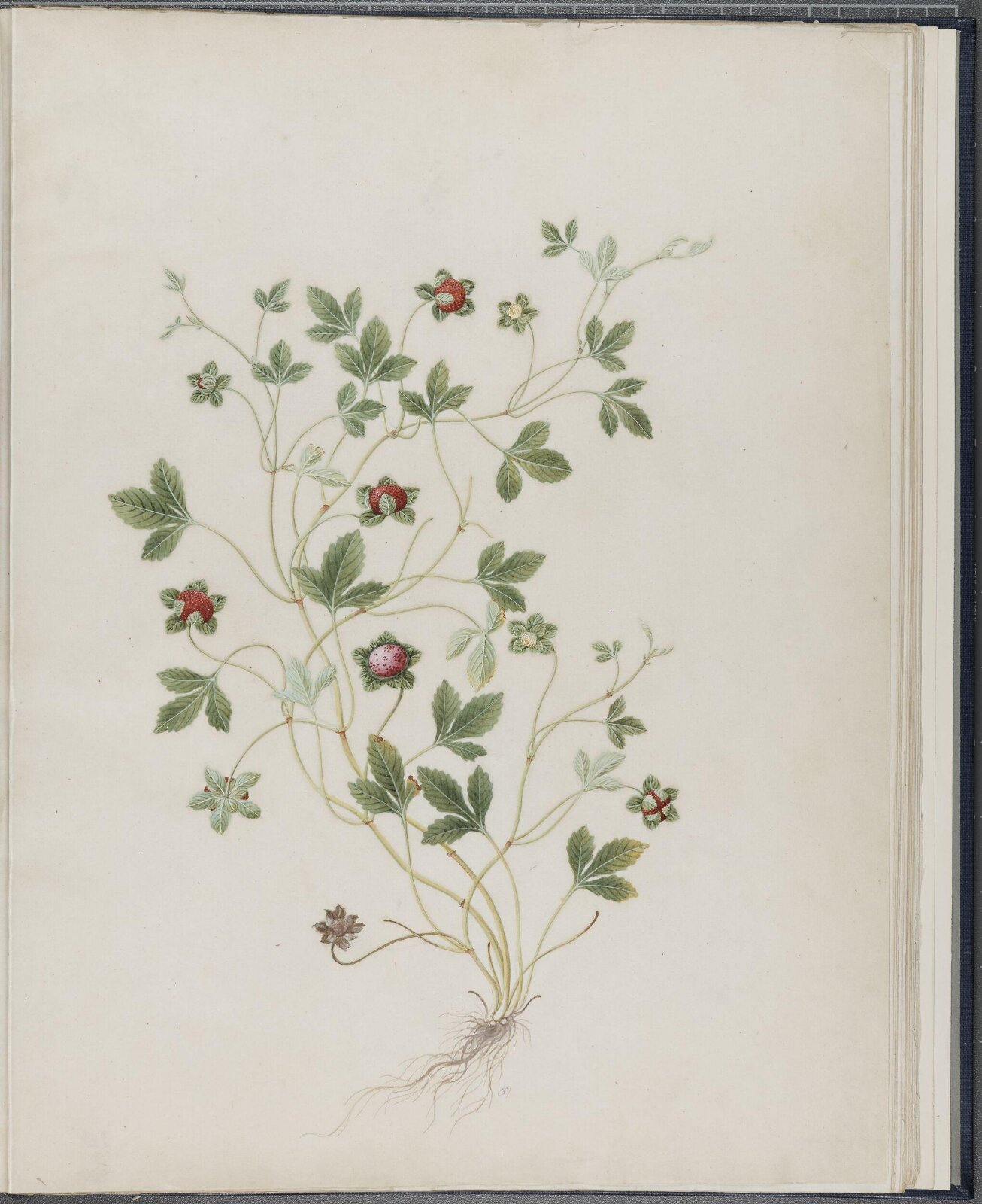 Painting, 19th century