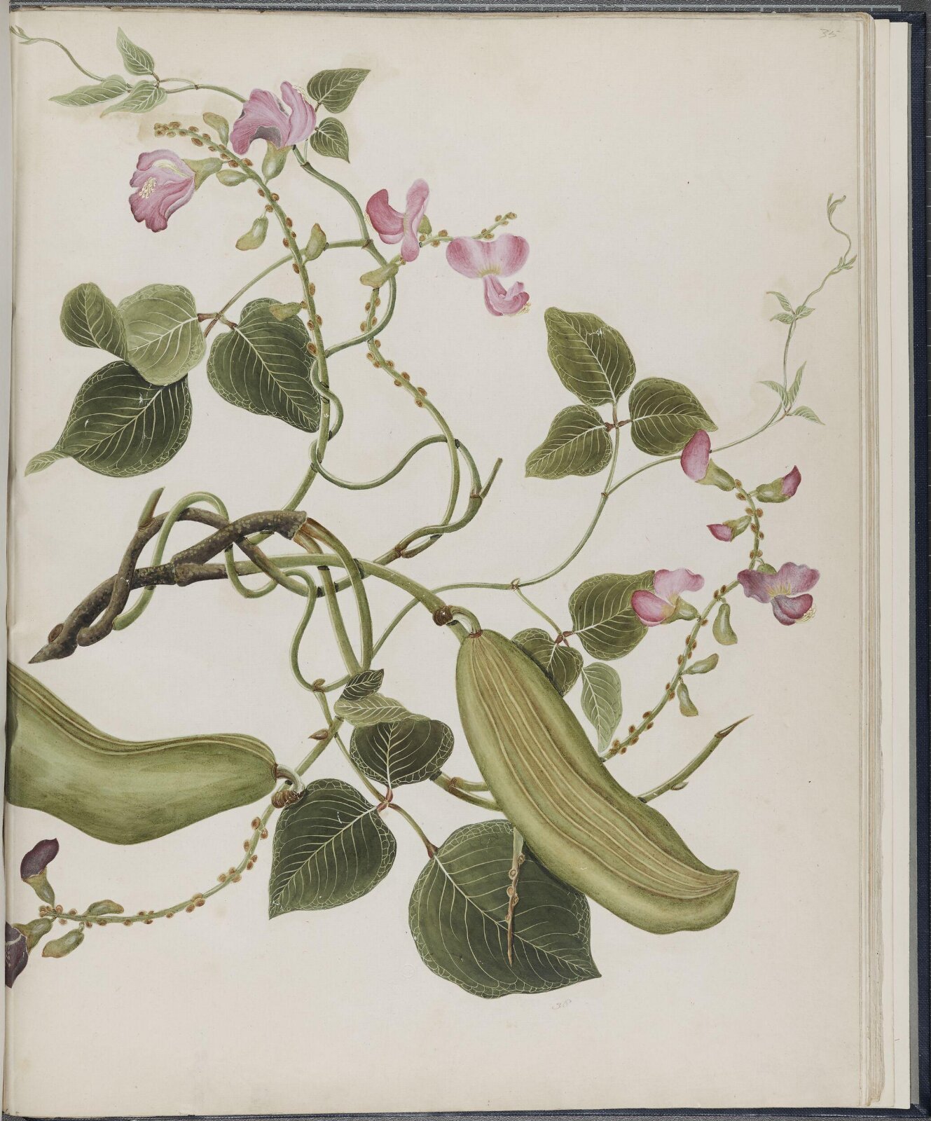 Painting, 19th century