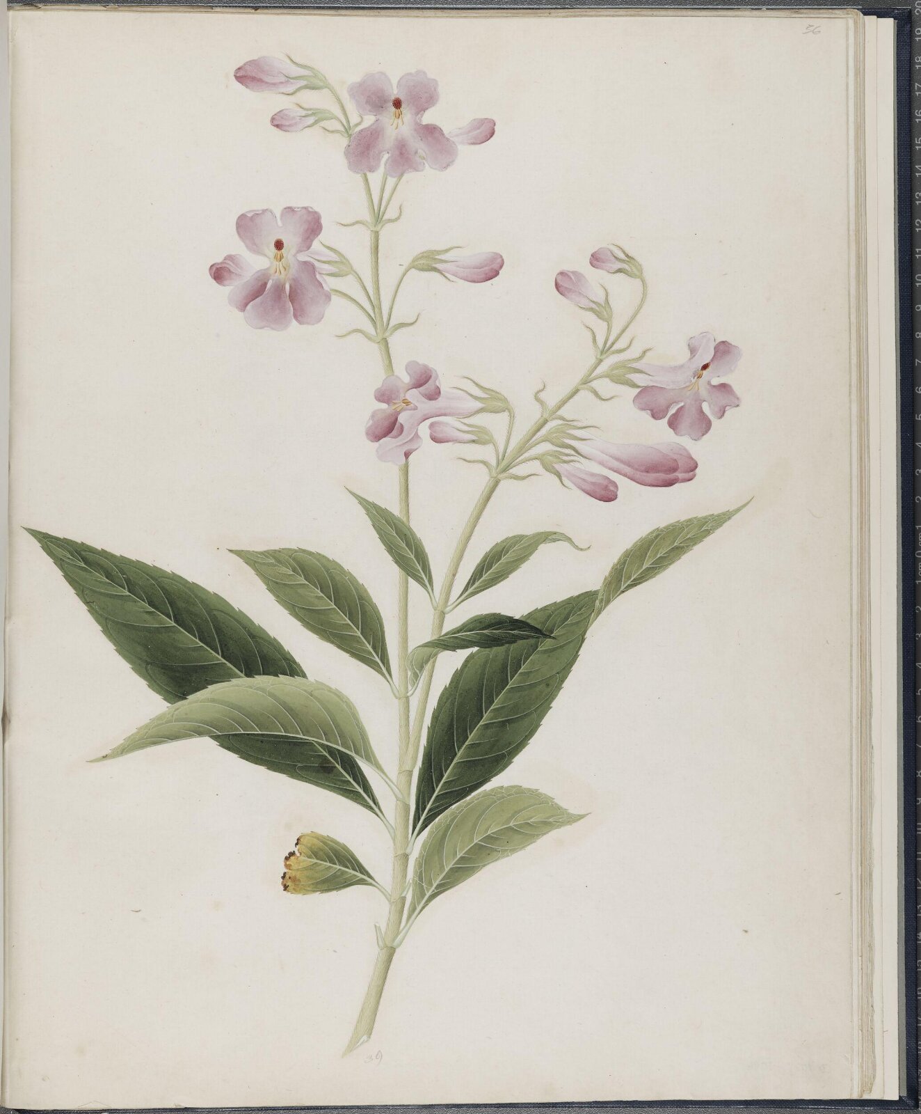 Painting, 19th century