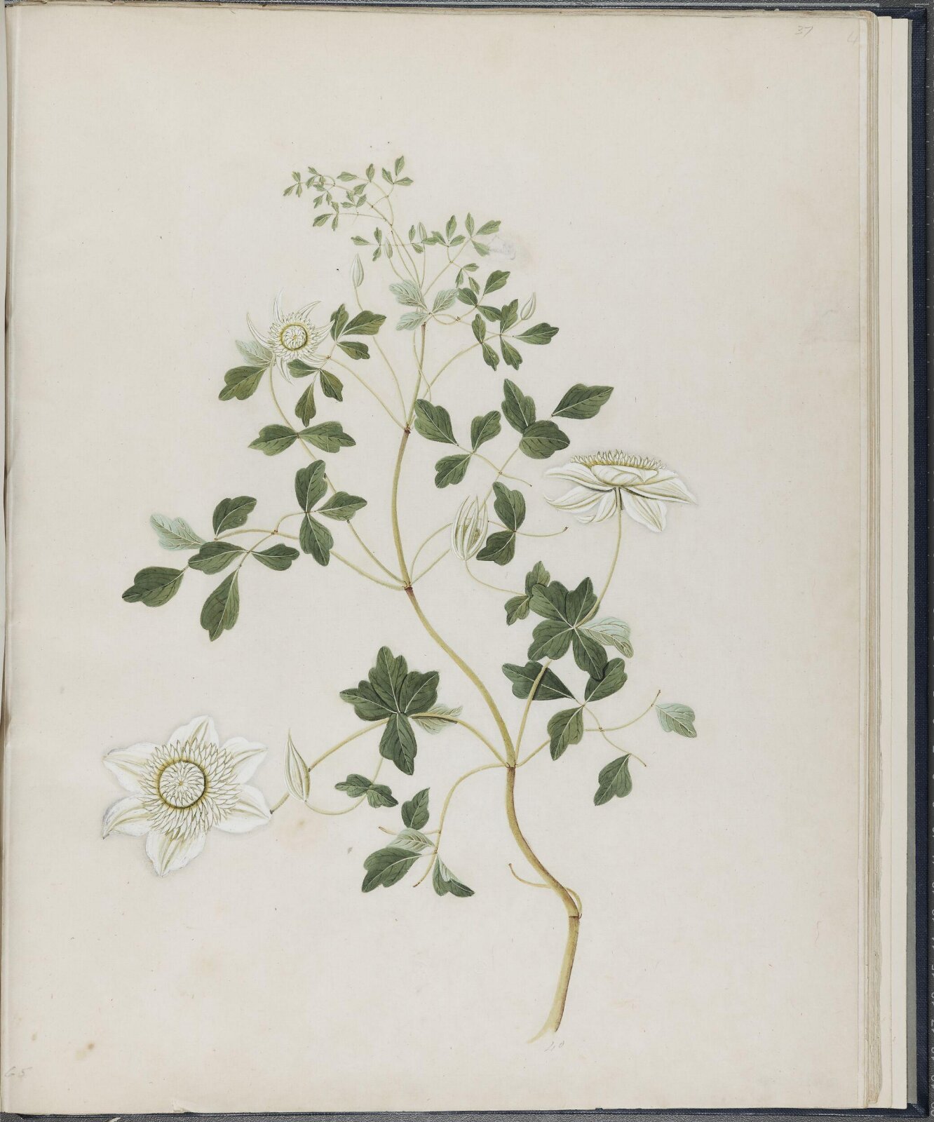 Painting, 19th century