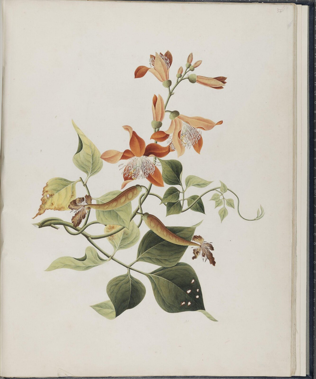 Painting, 19th century