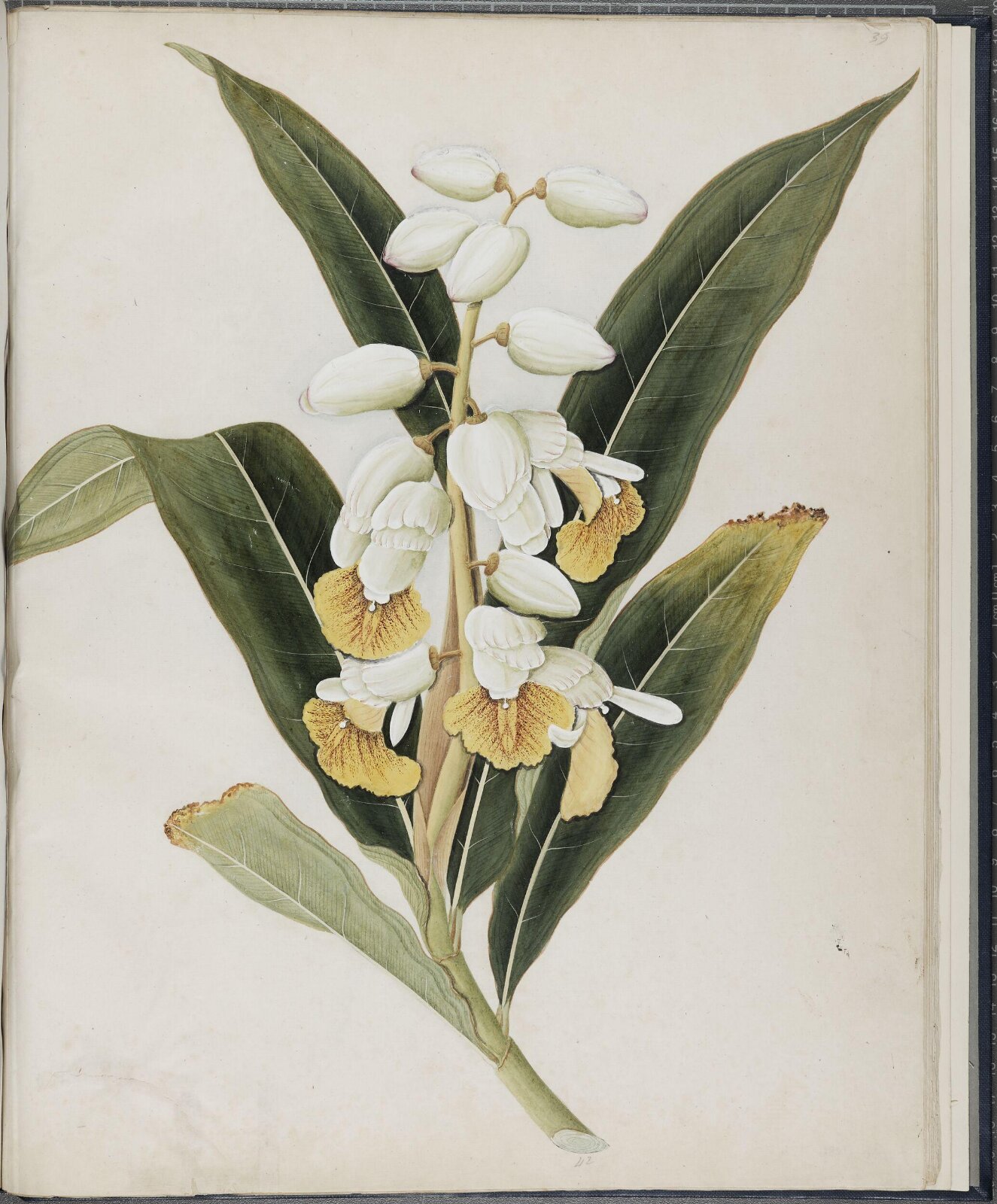 Painting, 19th century