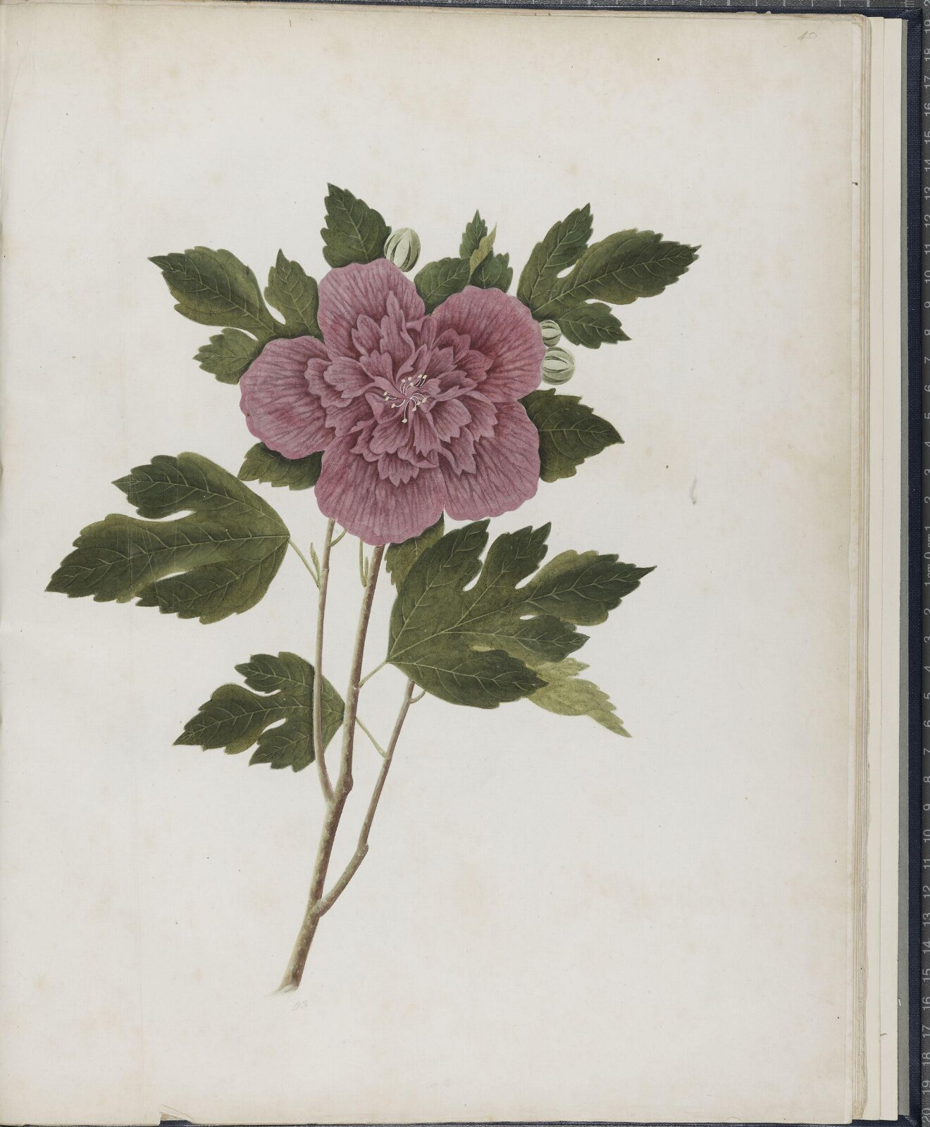 Painting, 19th century