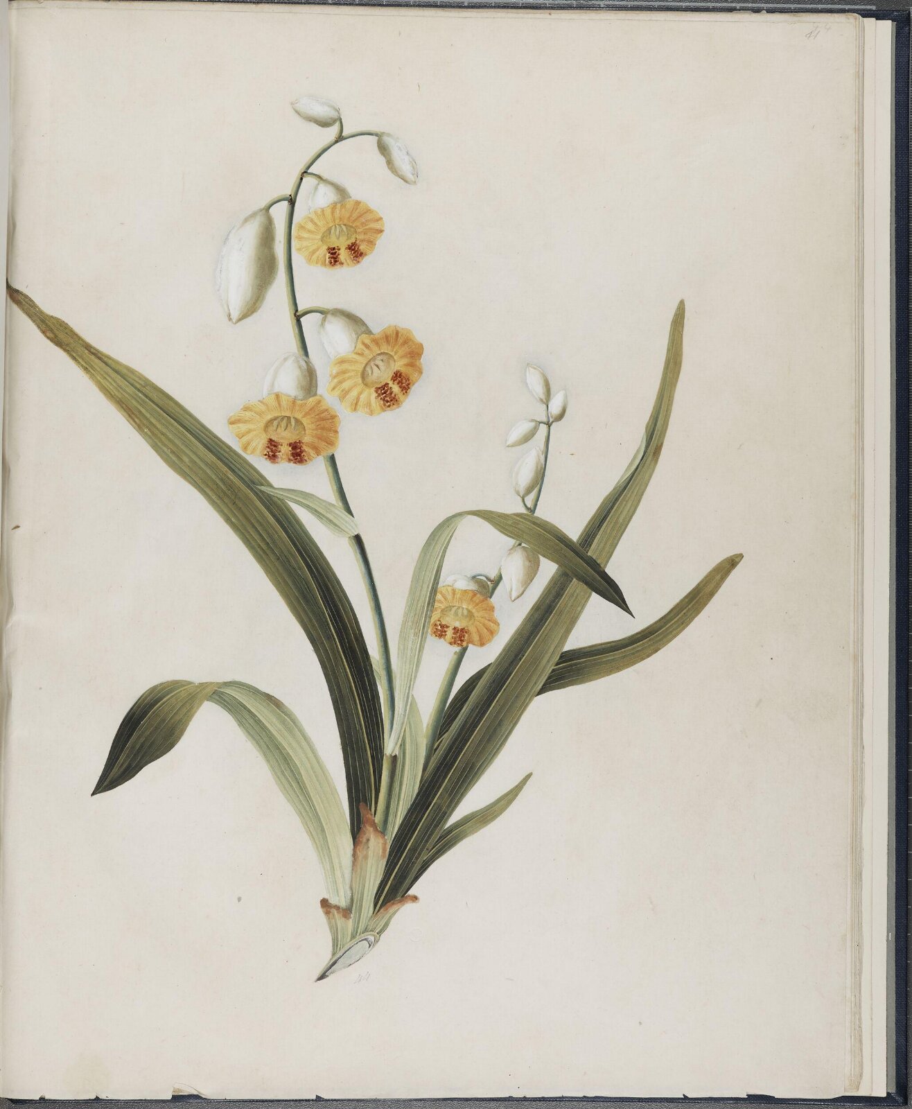 Painting, 19th century