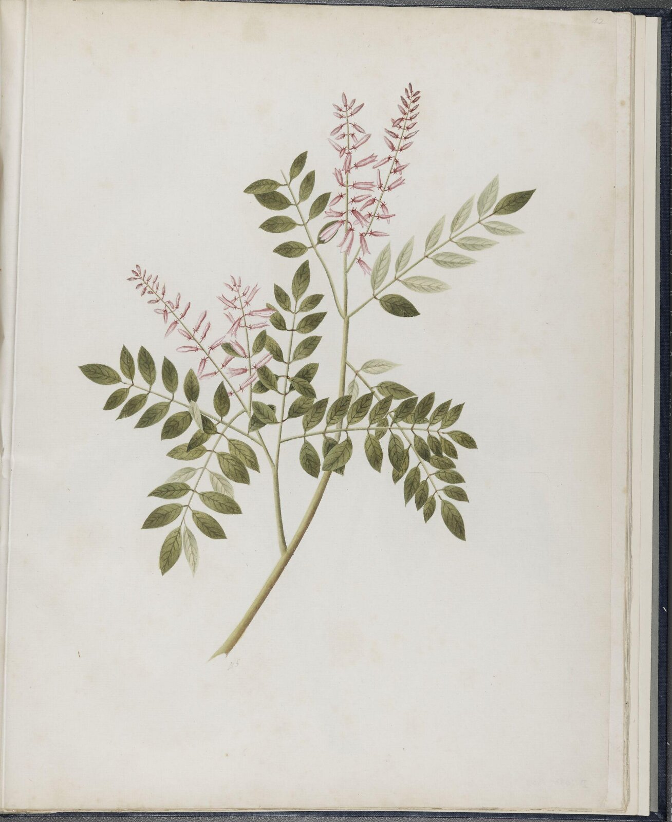 Painting, 19th century