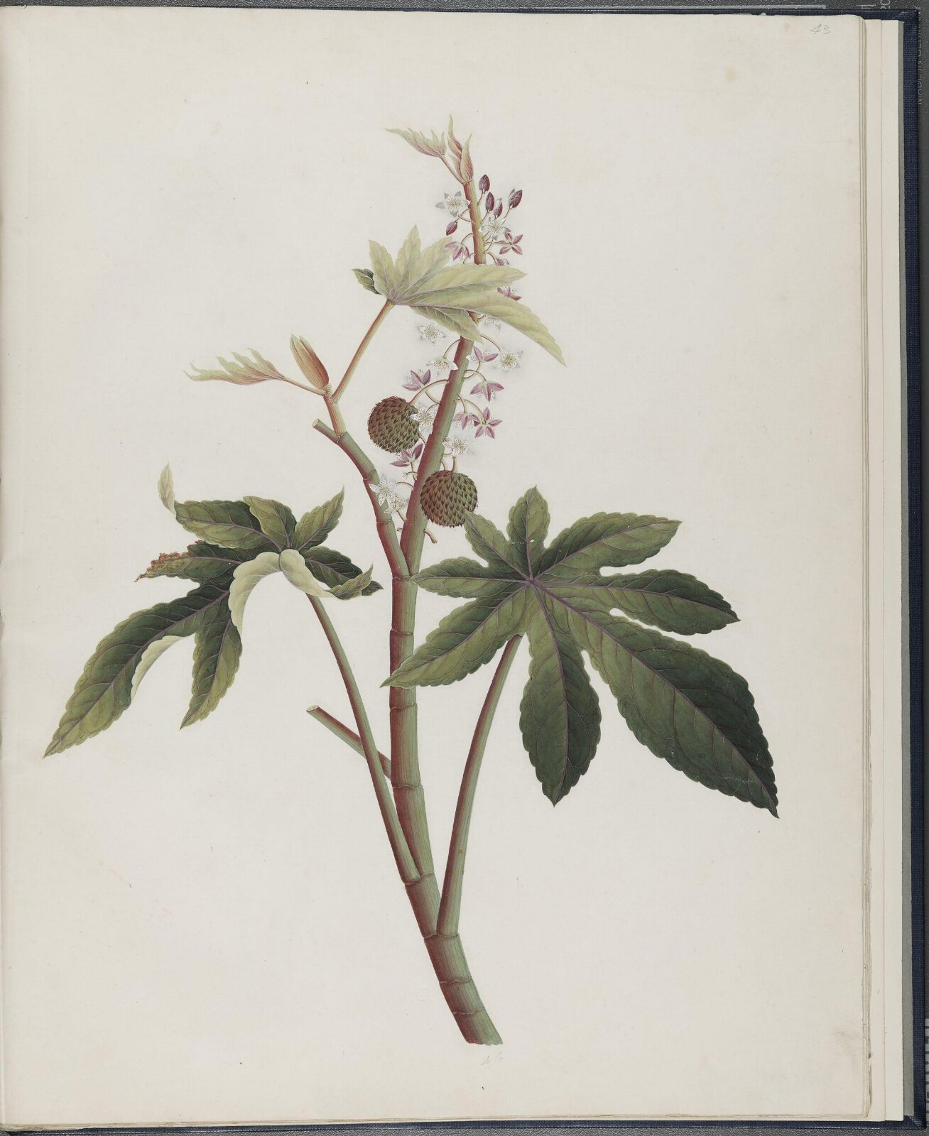 Painting, 19th century