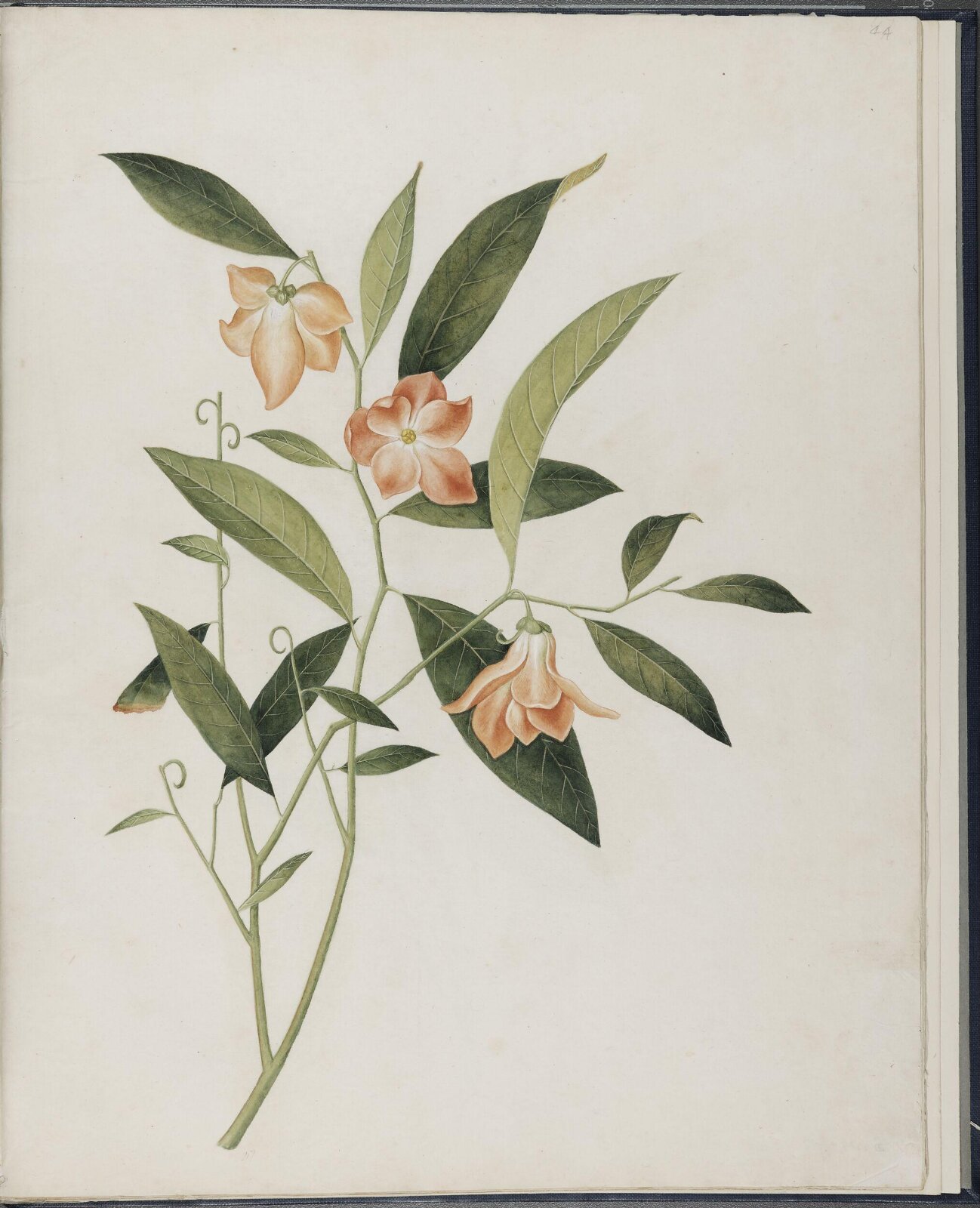 Painting, 19th century
