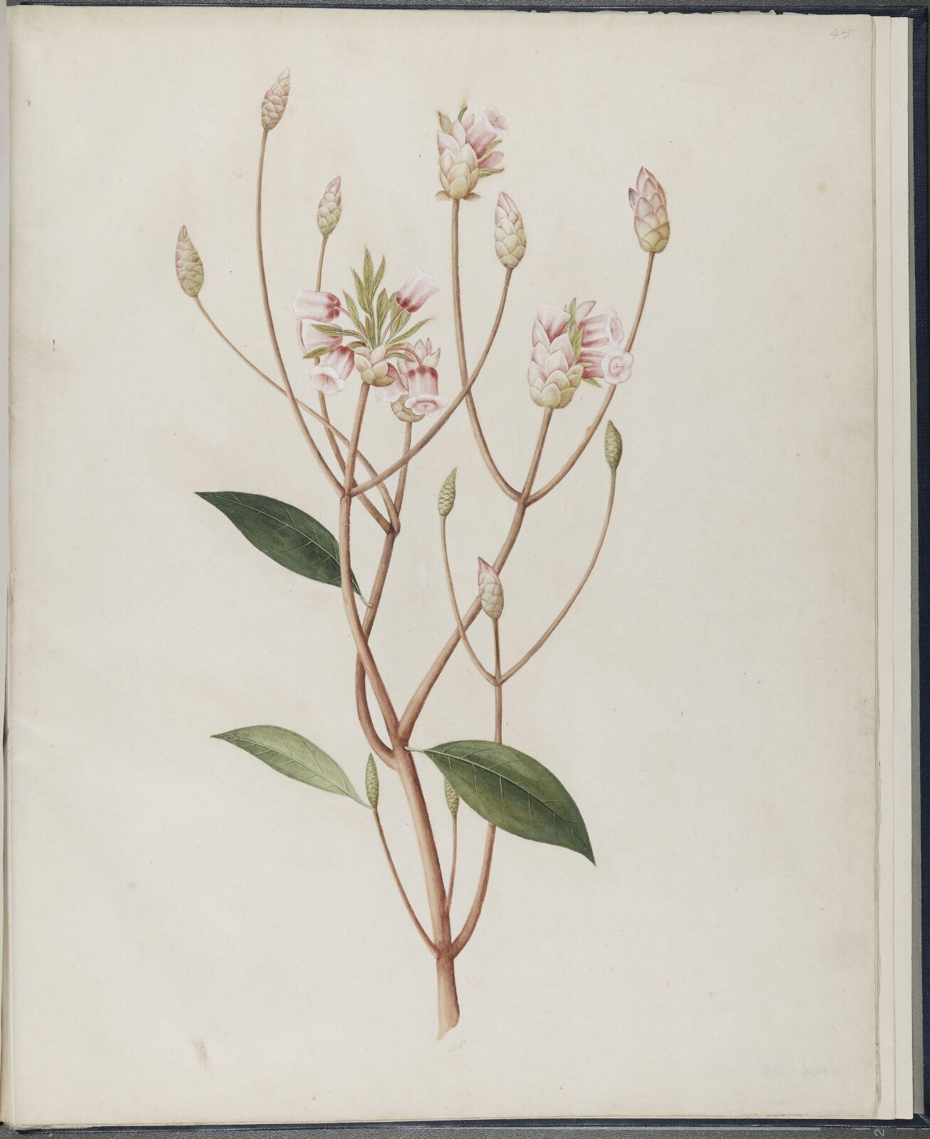 Painting, 19th century