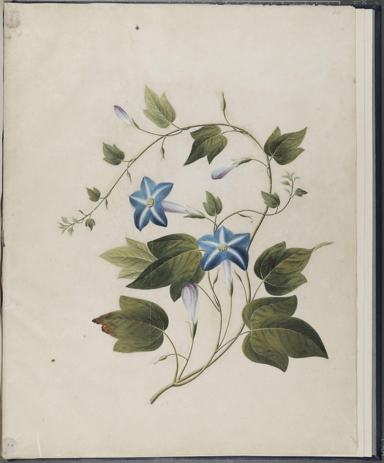 Painting, 19th century
