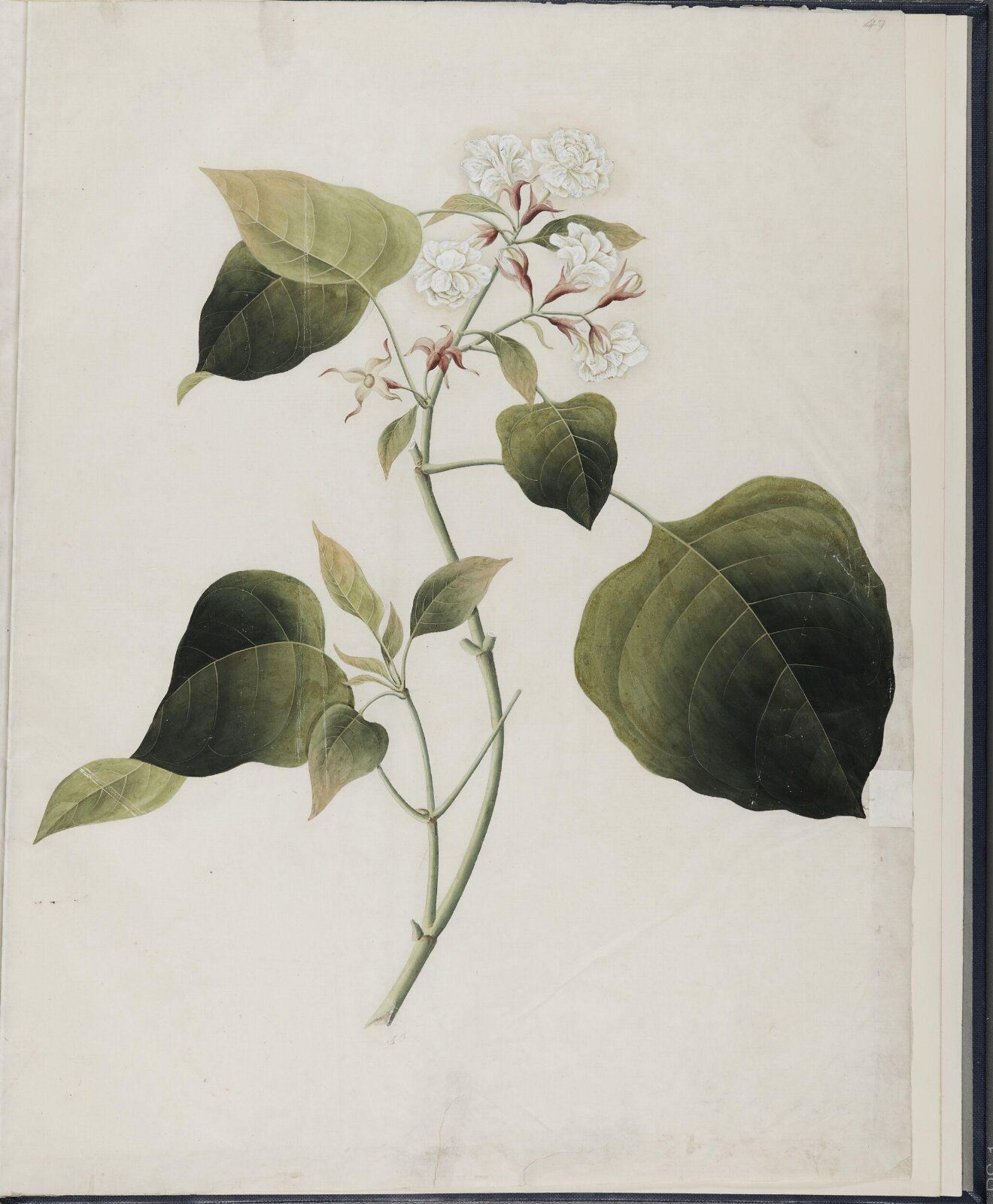 Painting, 19th century