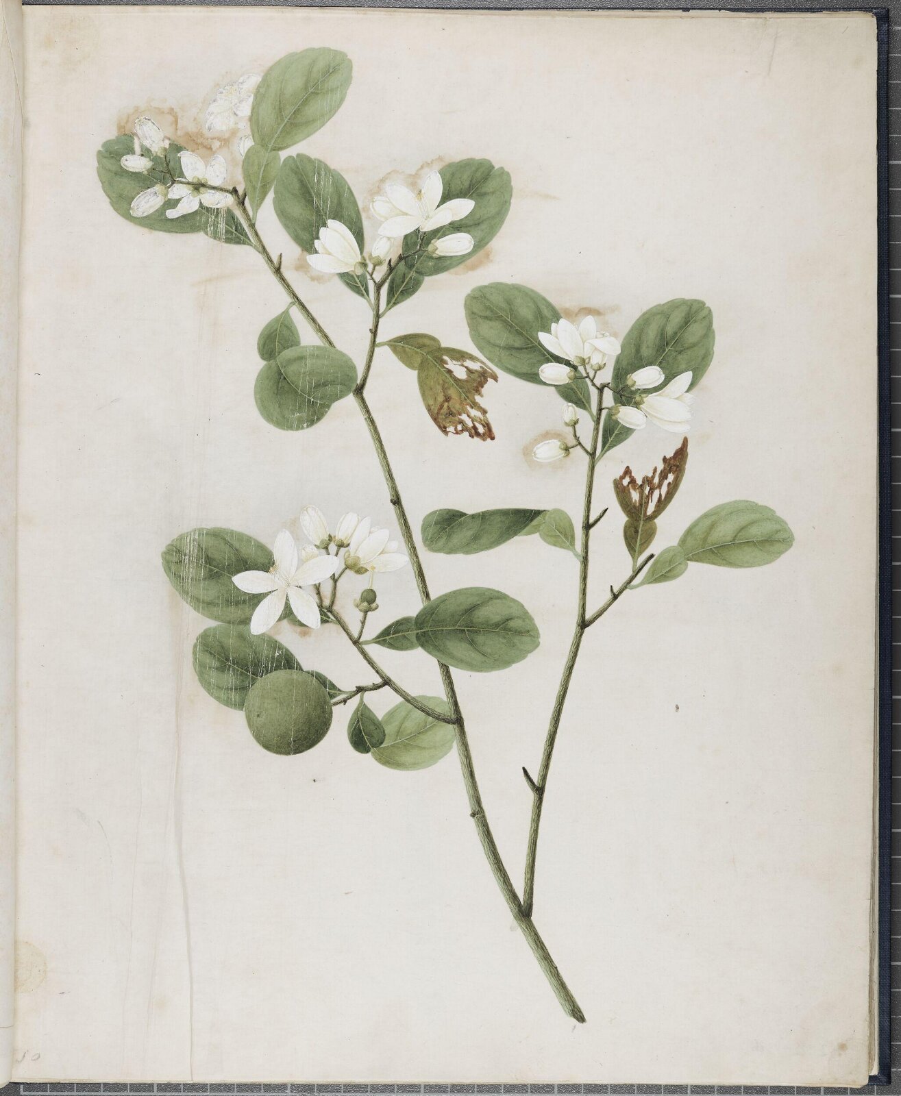 Painting, 19th century