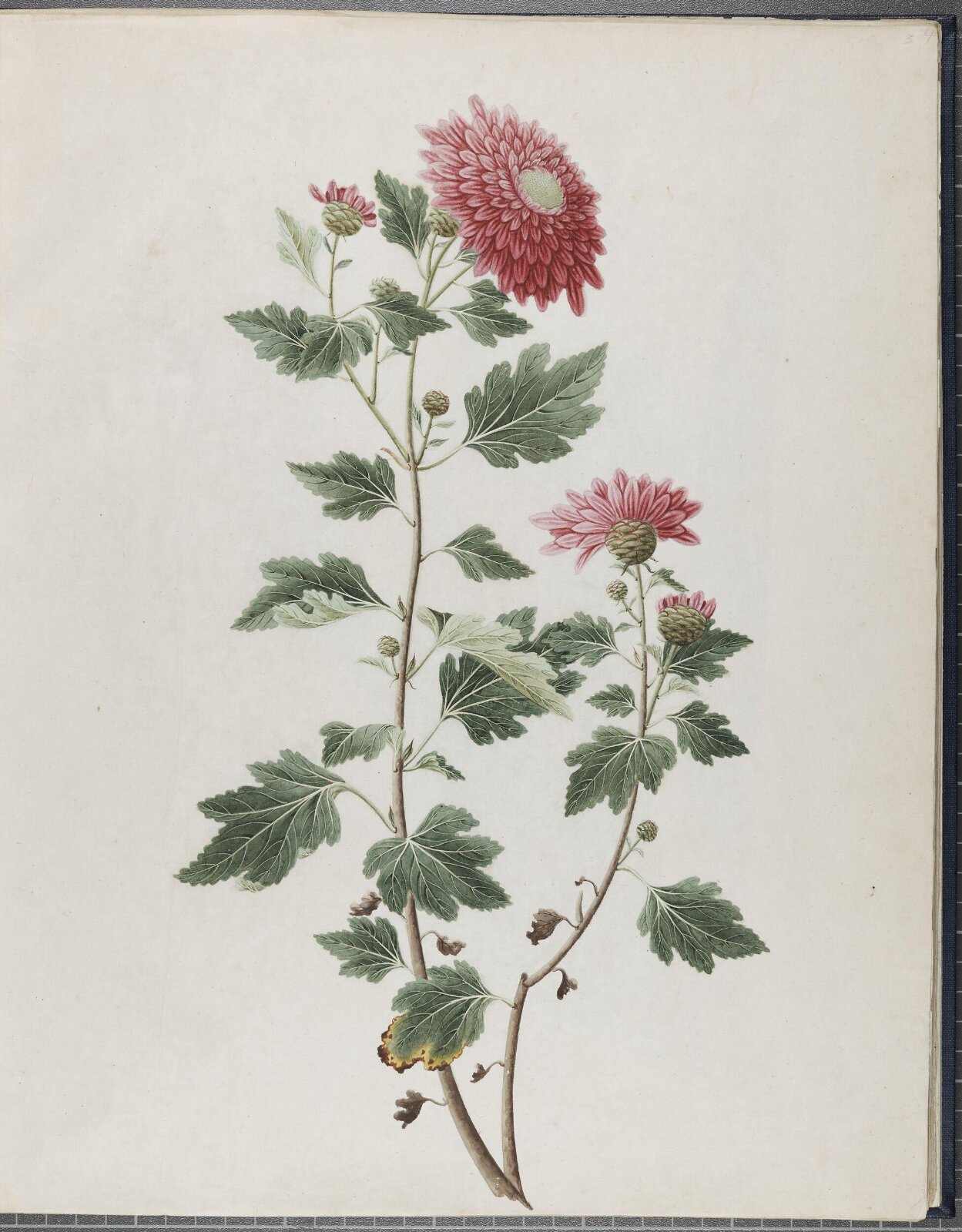 Painting, 19th century