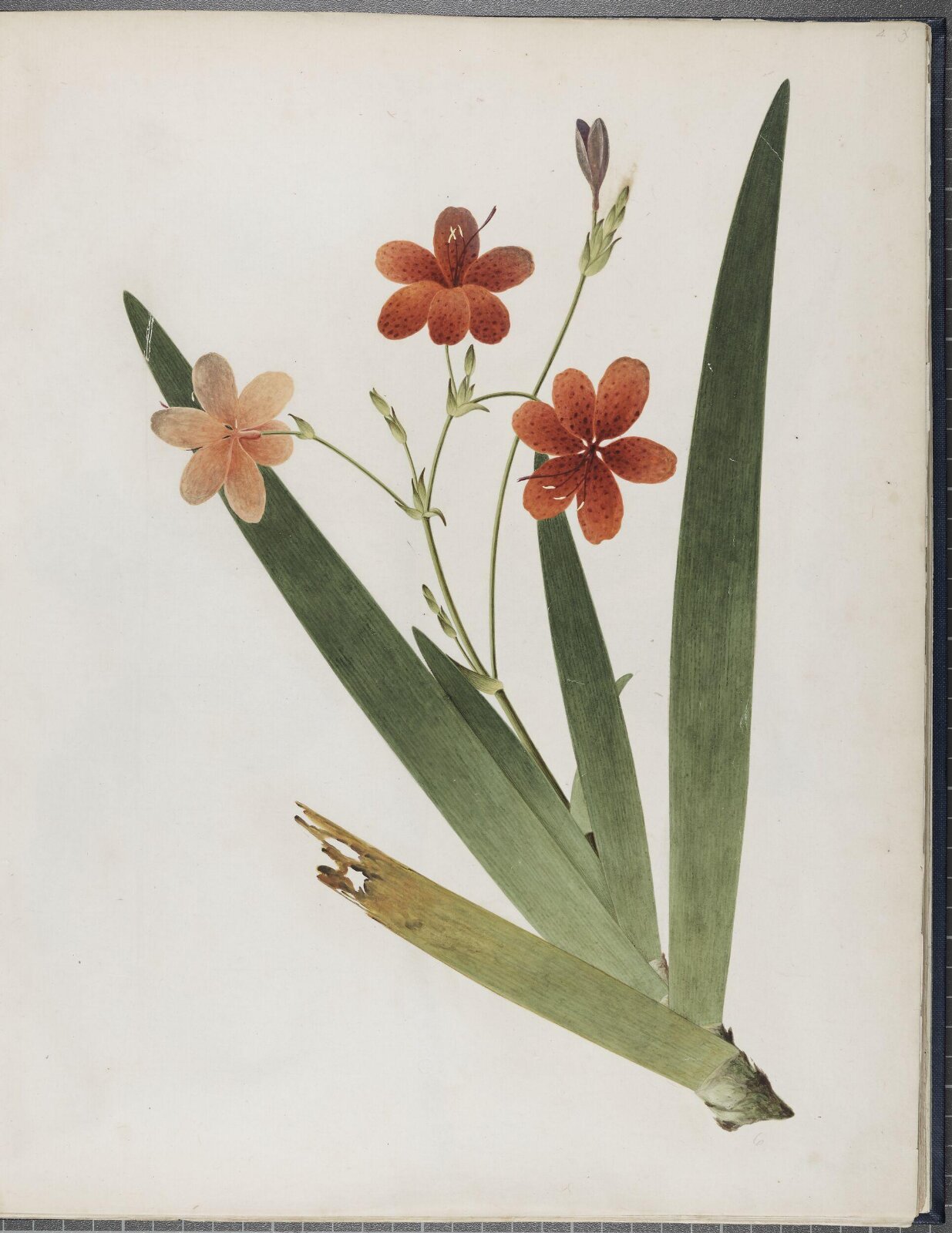 Painting, 19th century