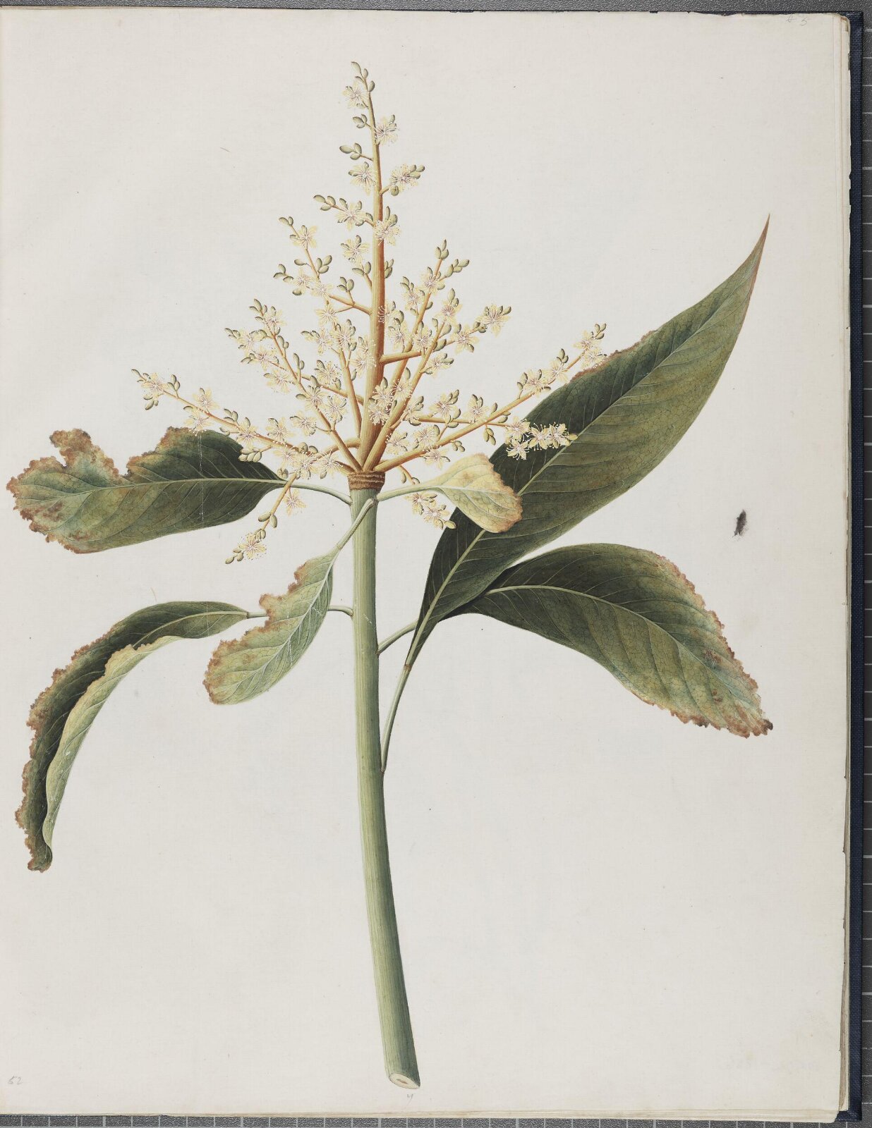 Painting, 19th century