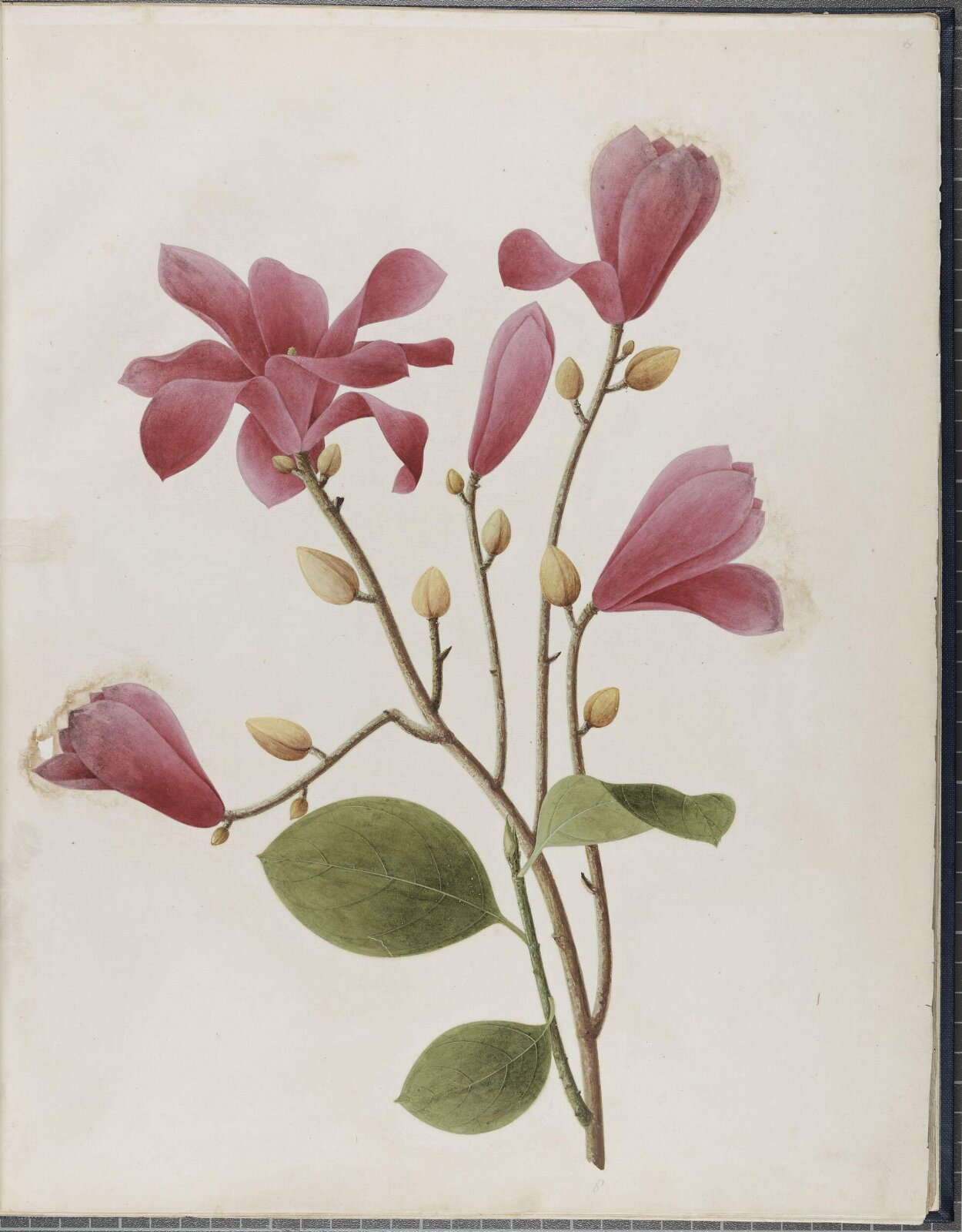 Painting, 19th century