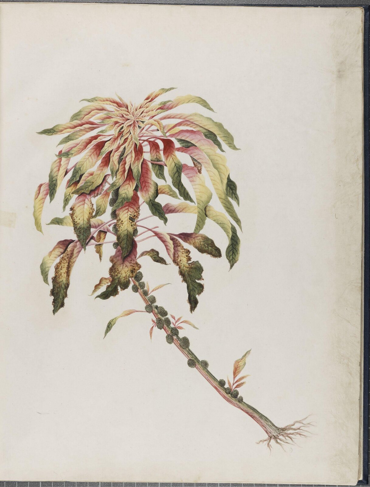 Painting, 19th century