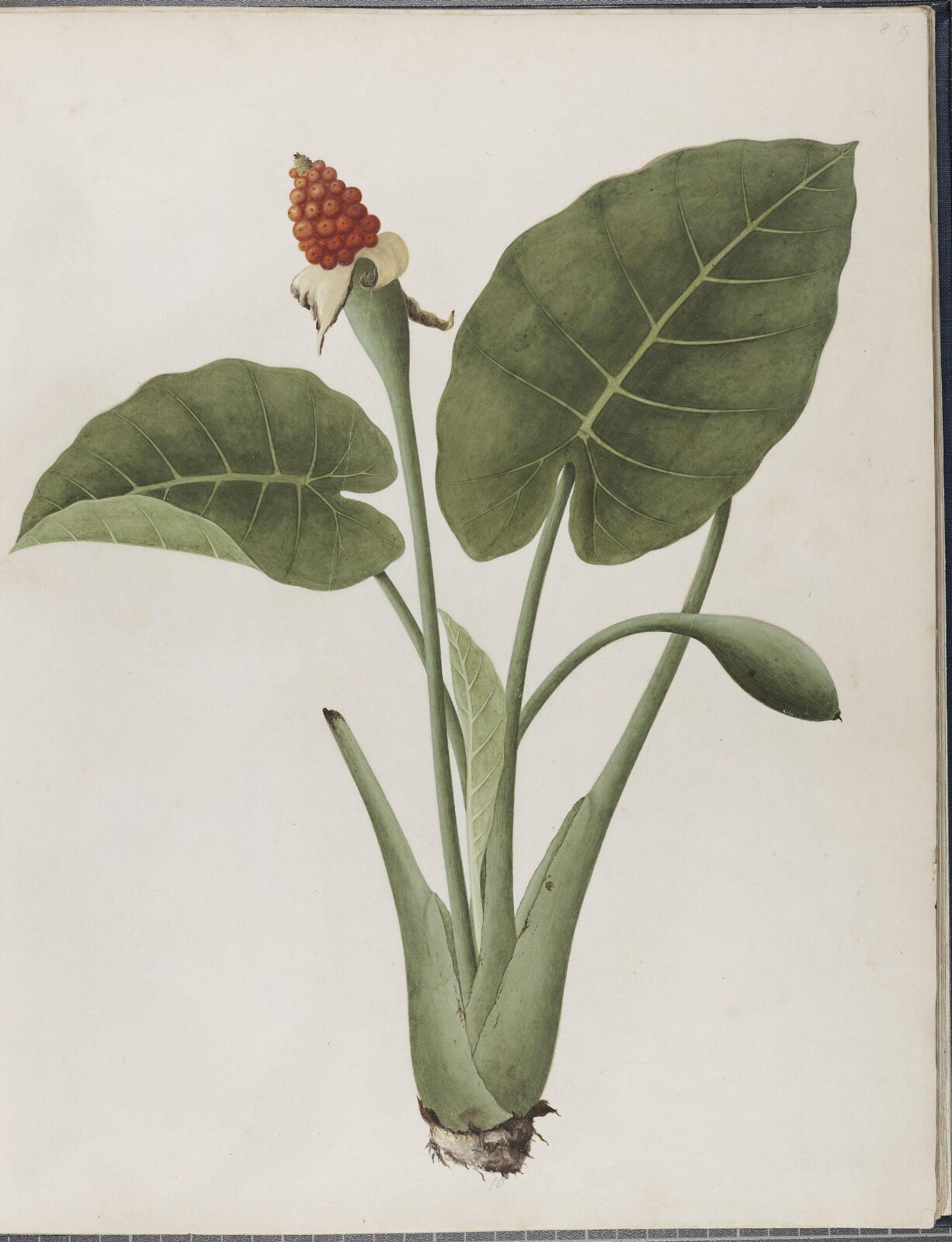Painting, 19th century