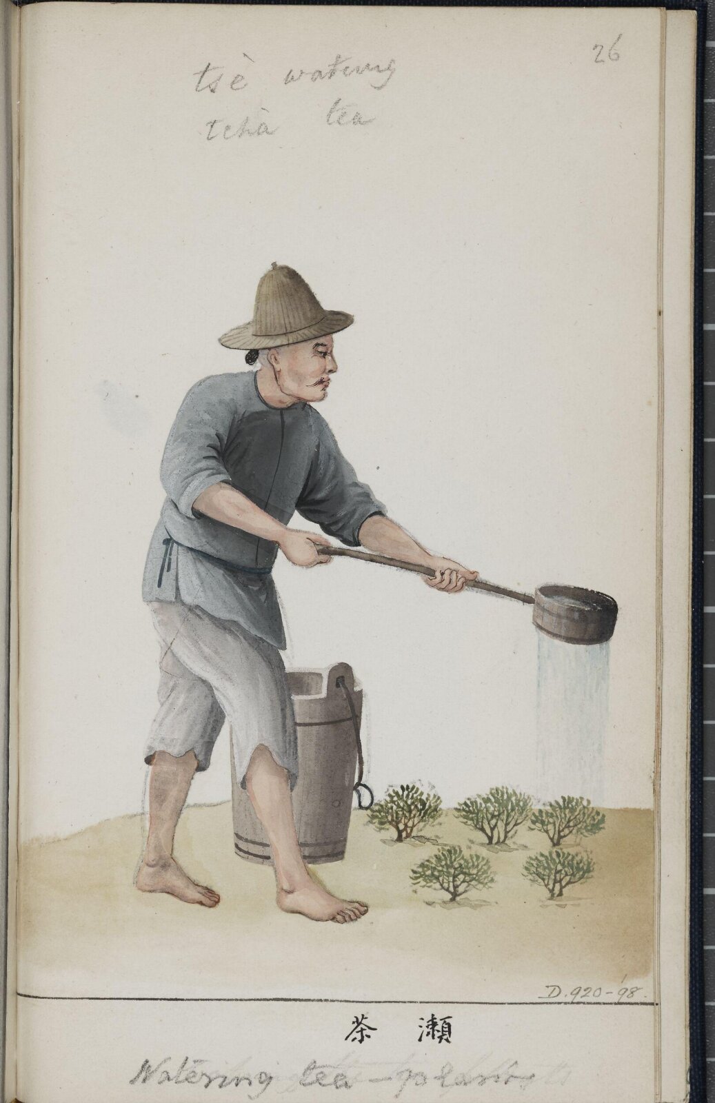 Watering Tea Plants, c.1795