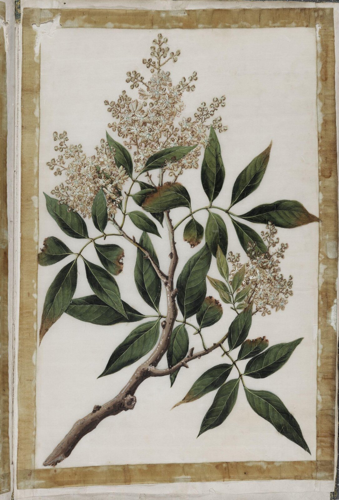 Painting, 19th century