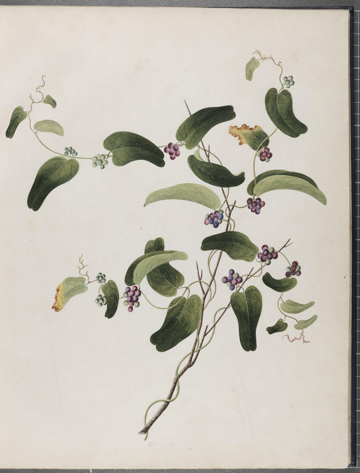 Painting, 1850-1886