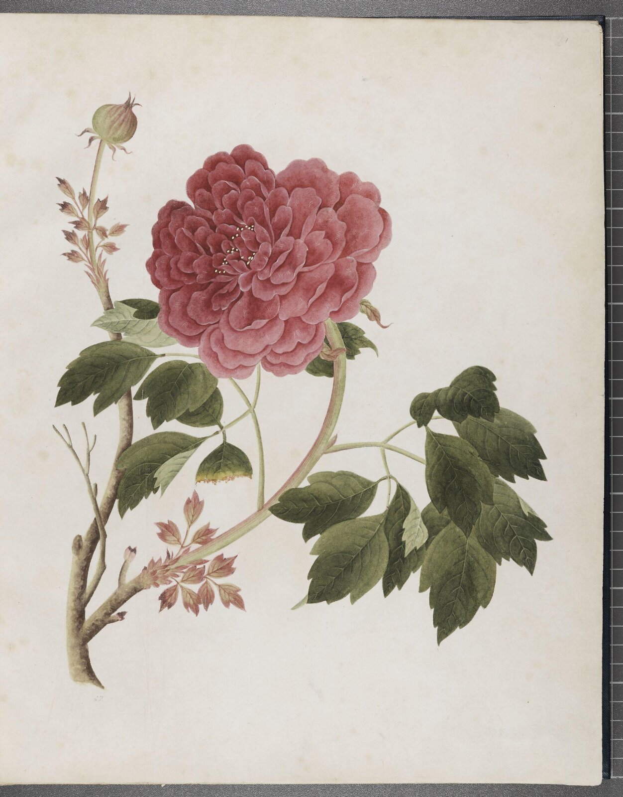 Painting, 1850-1886