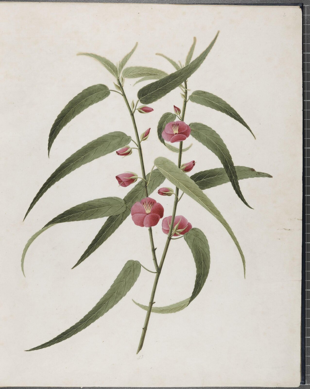 Painting, 1850-1886