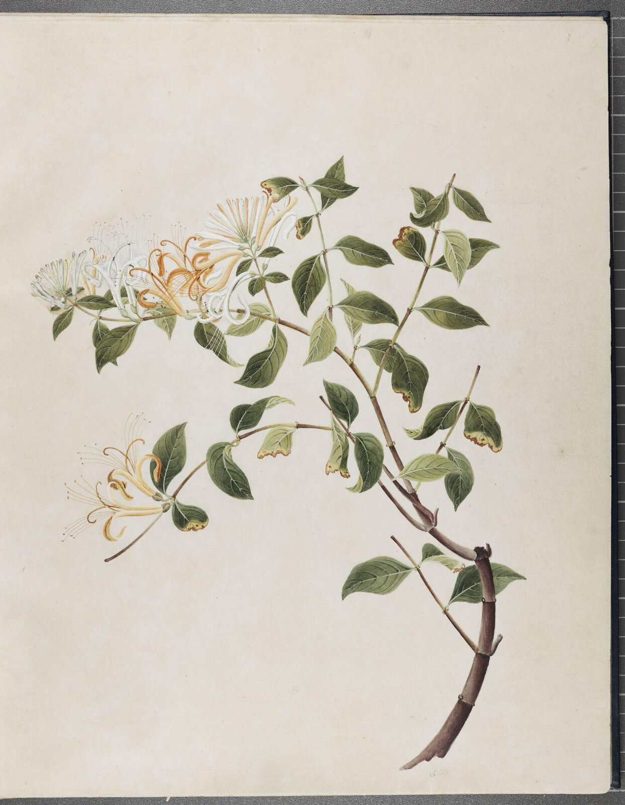 Painting, 1850-1886