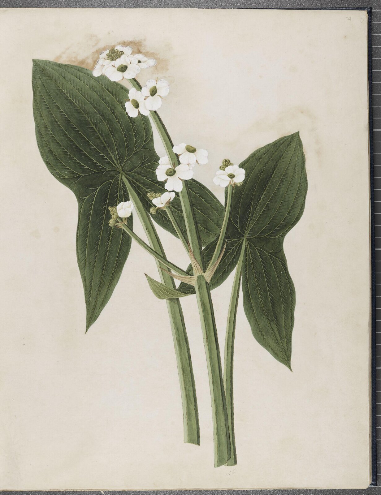 Painting, 1850-1886