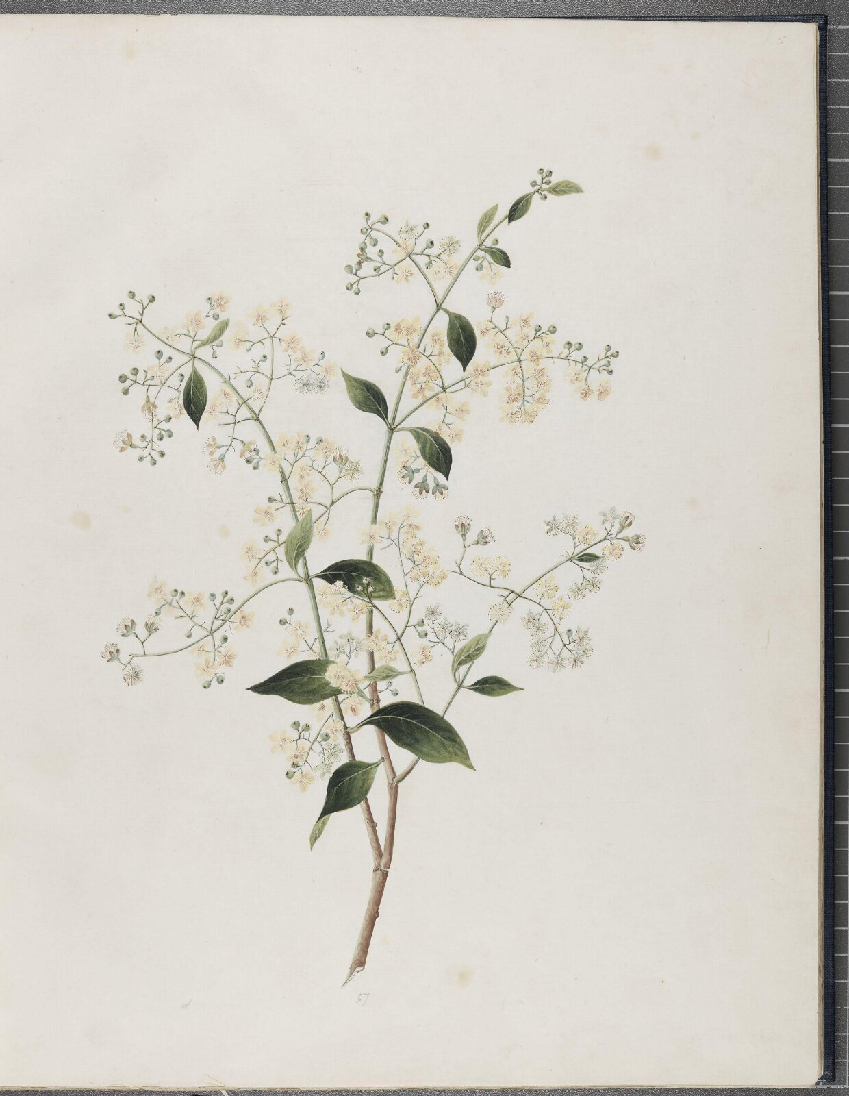 Painting, 1850-1886