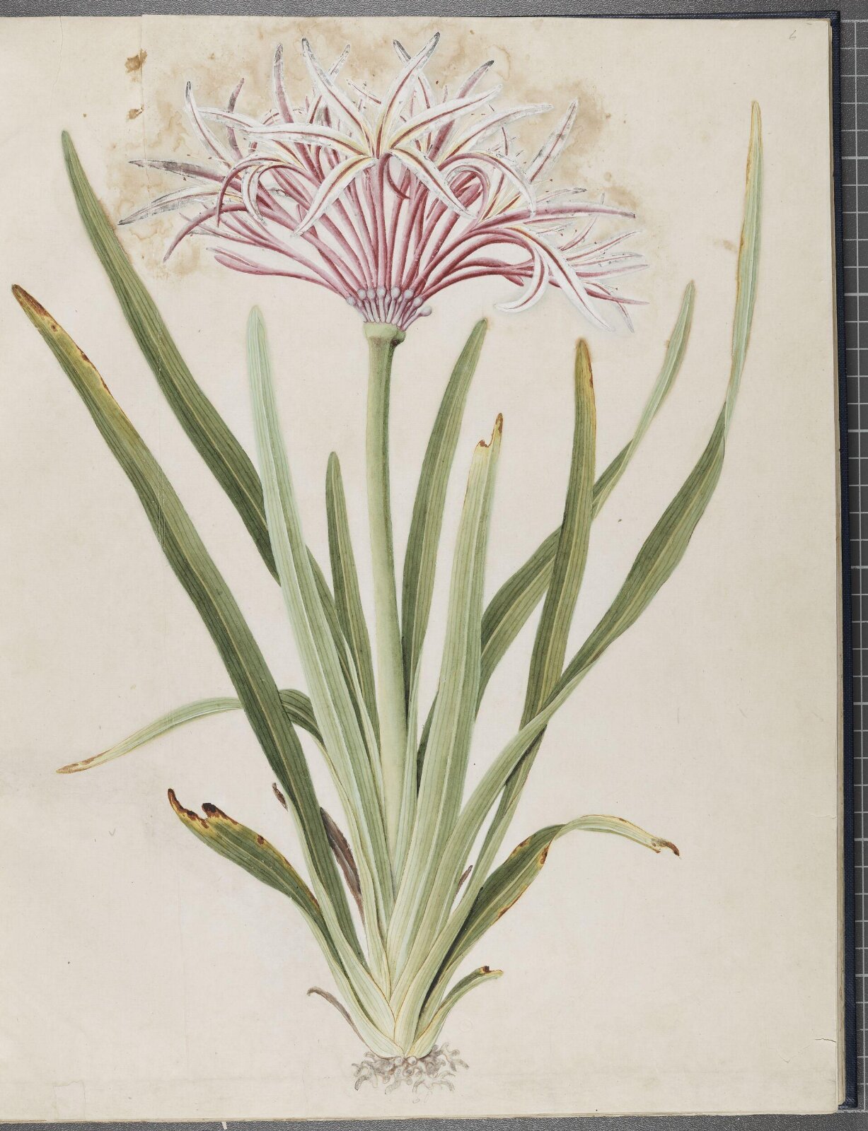 Painting, 1850-1886