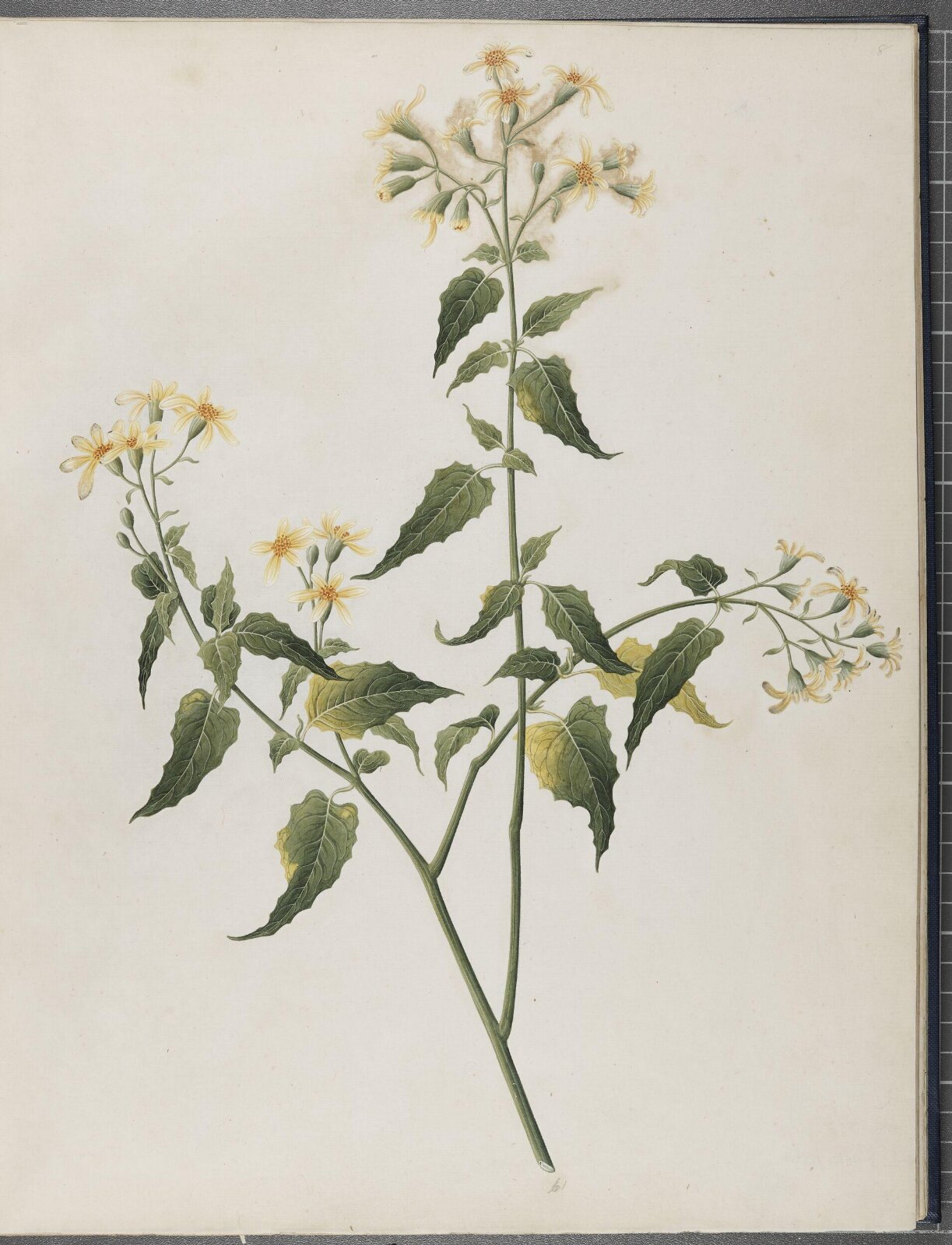 Painting, 1850-1886