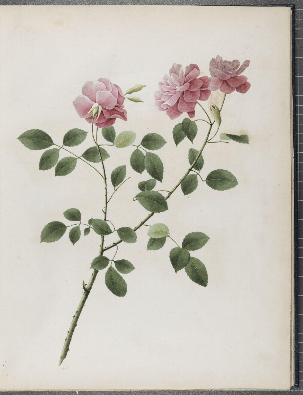 Painting, 1850-1886