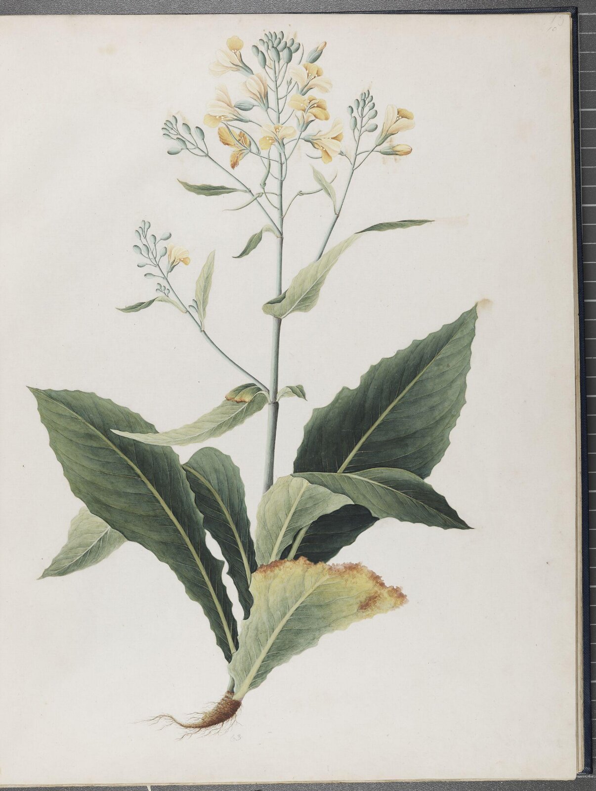 Painting, 1850-1886